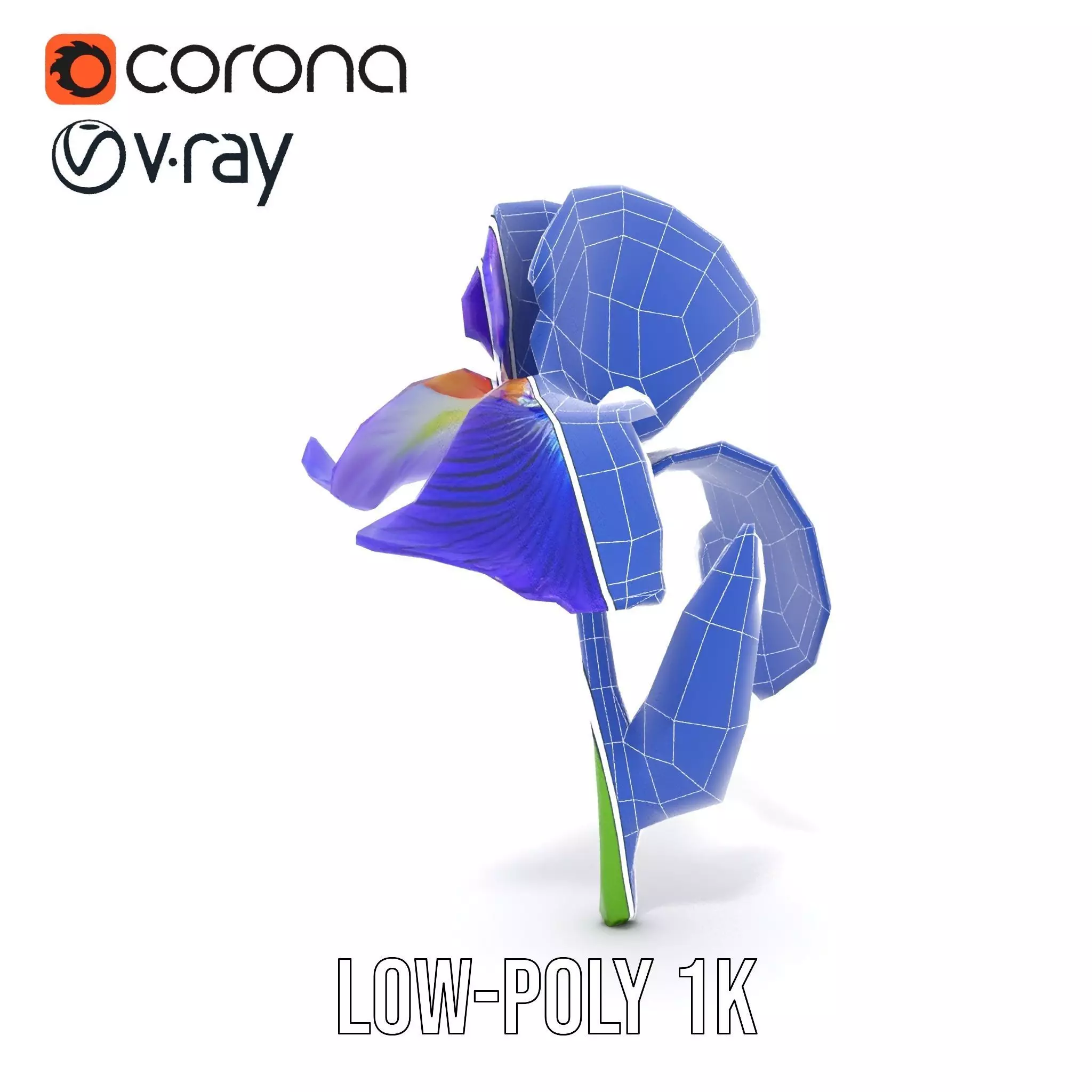 Vibrant Iris Flower model pack Low-poly 3D model_31