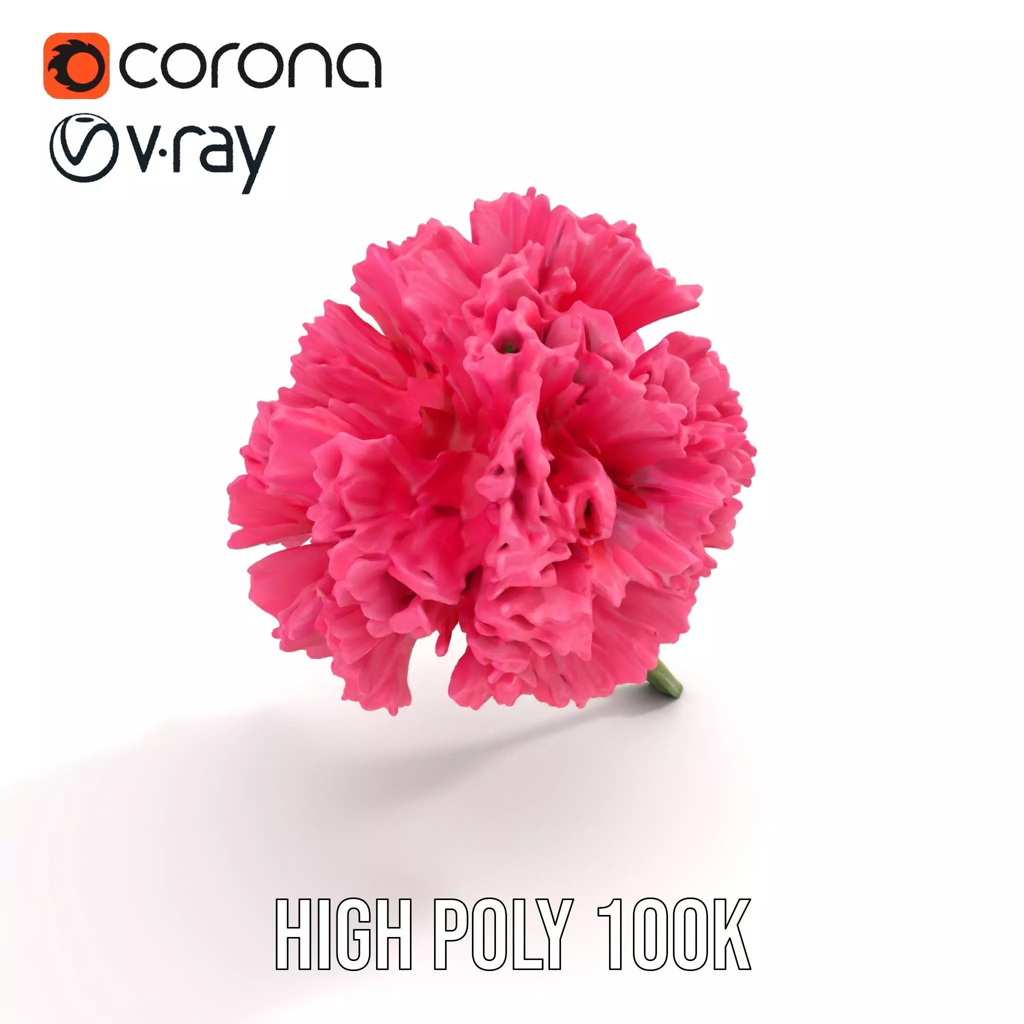 Pink Carnation Bloom model pack Low-poly 3D model_5