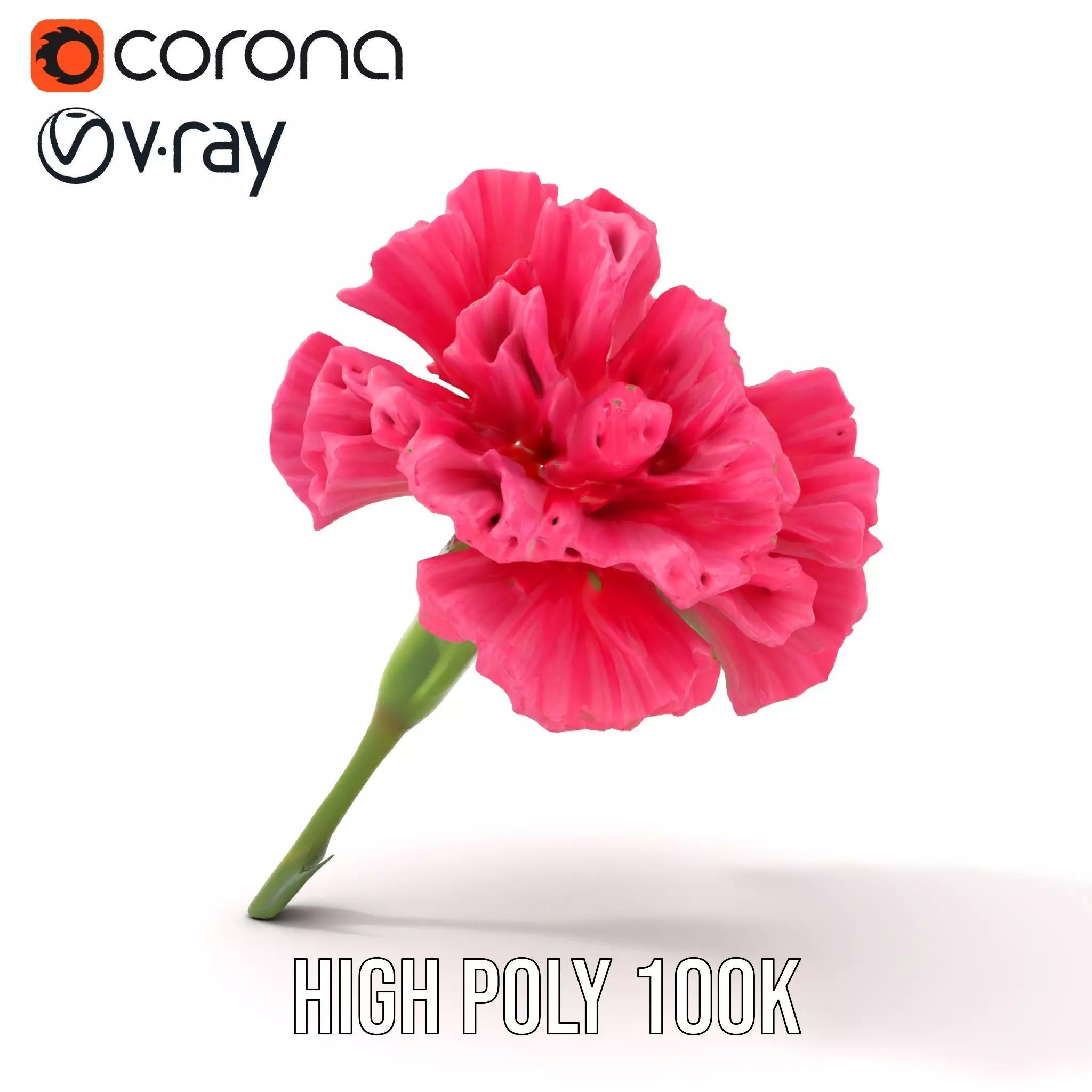 Pink Carnation Bloom model pack Low-poly 3D model_26