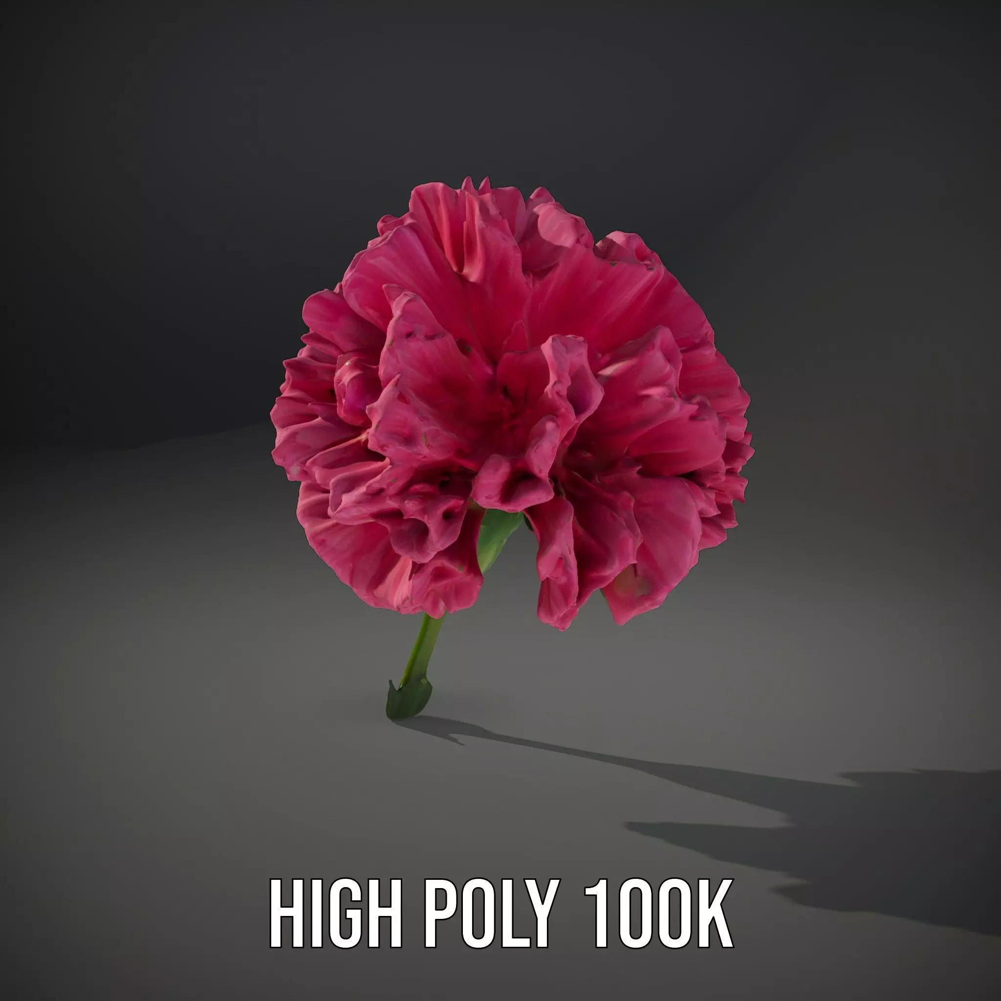 Pink Carnation Bloom model pack Low-poly 3D model_10