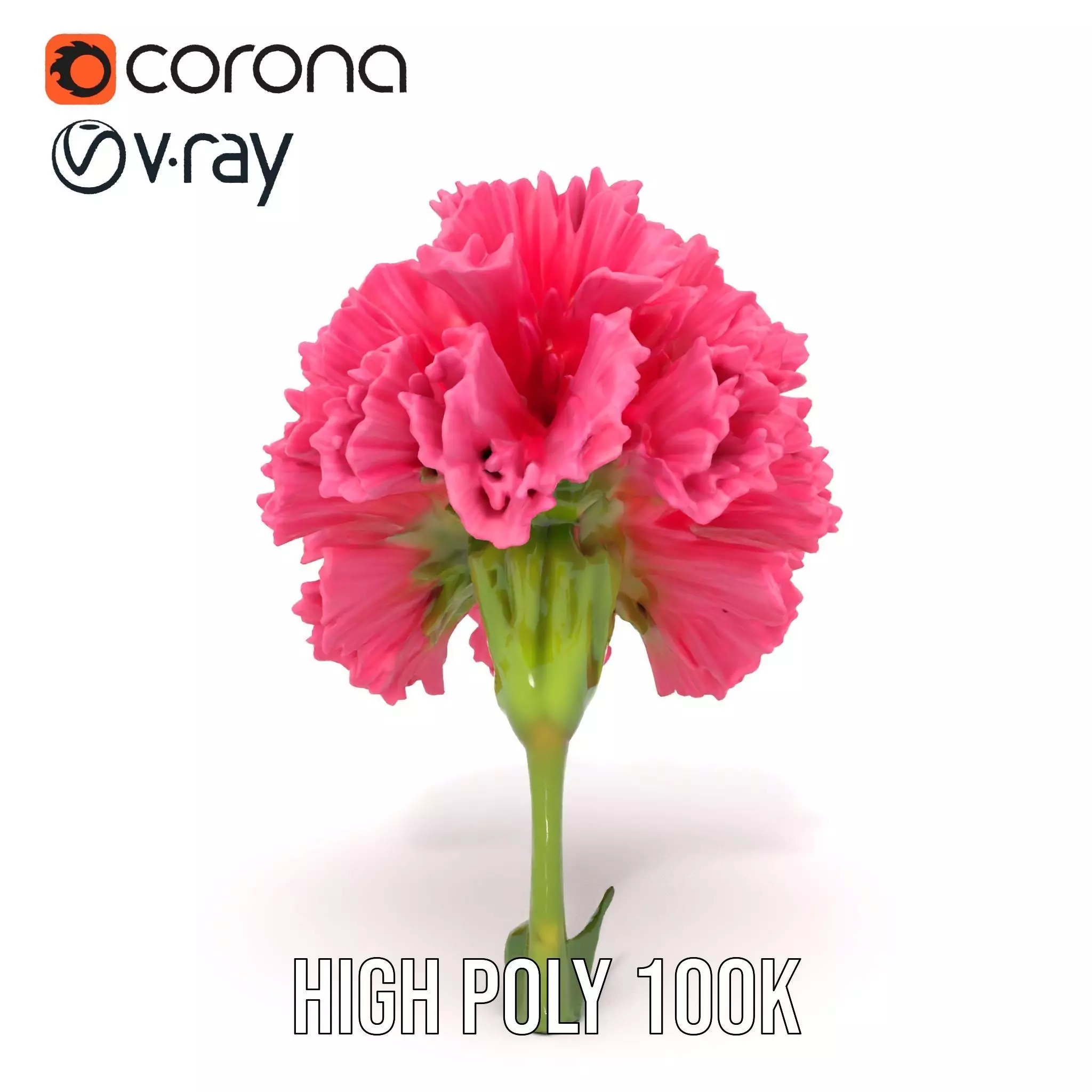 Pink Carnation Bloom model pack Low-poly 3D model_19