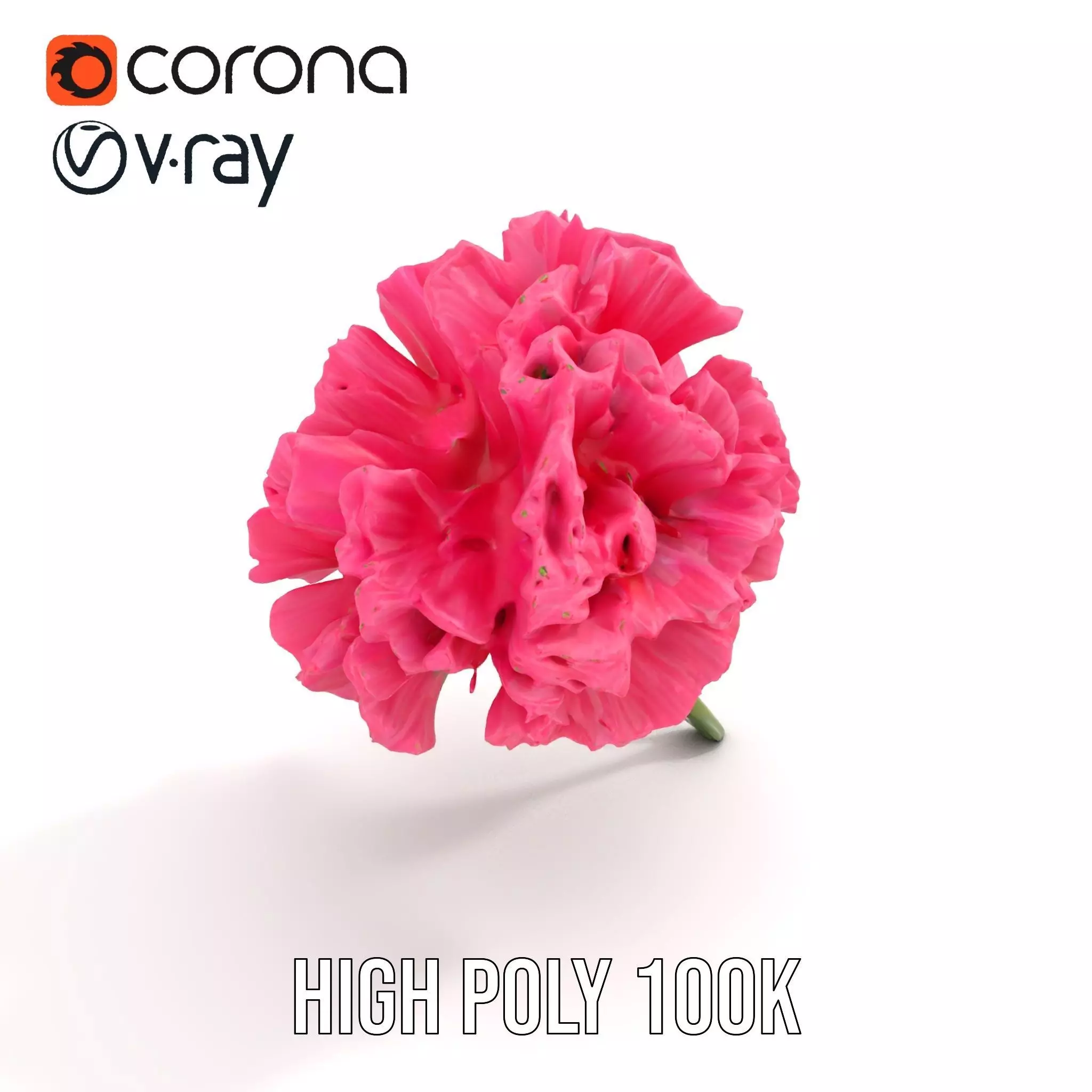 Pink Carnation Bloom model pack Low-poly 3D model_15