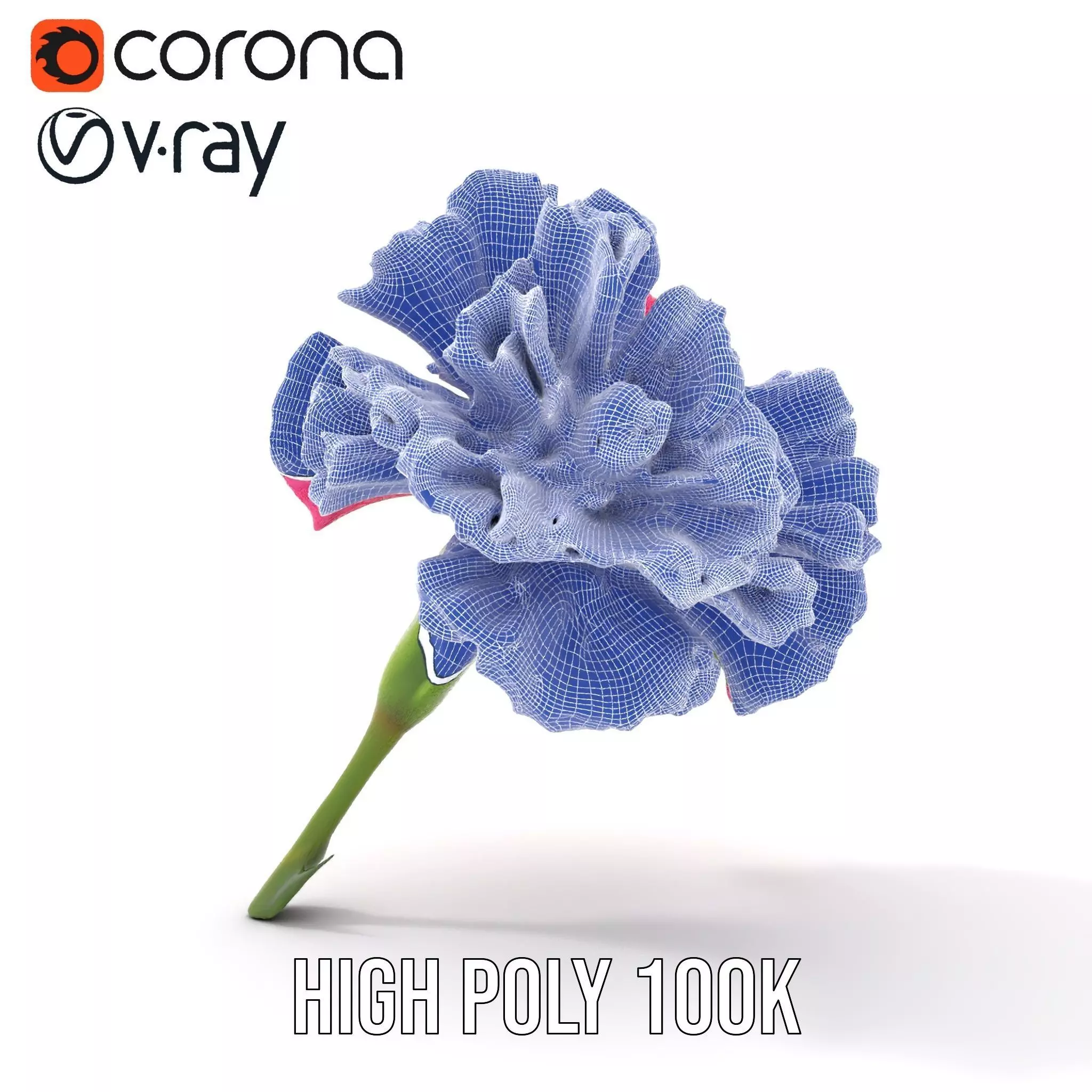 Pink Carnation Bloom model pack Low-poly 3D model_31