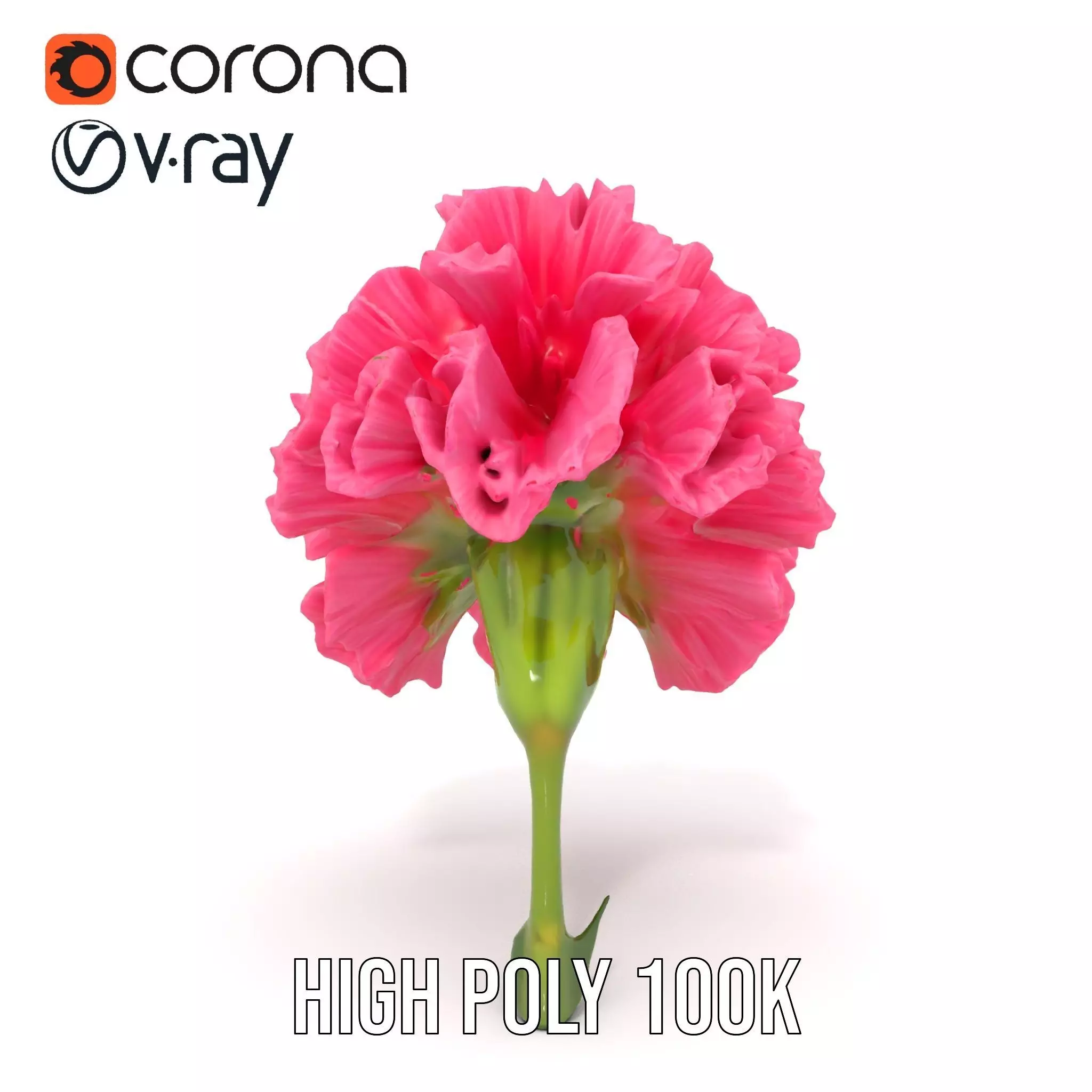 Pink Carnation Bloom model pack Low-poly 3D model_18