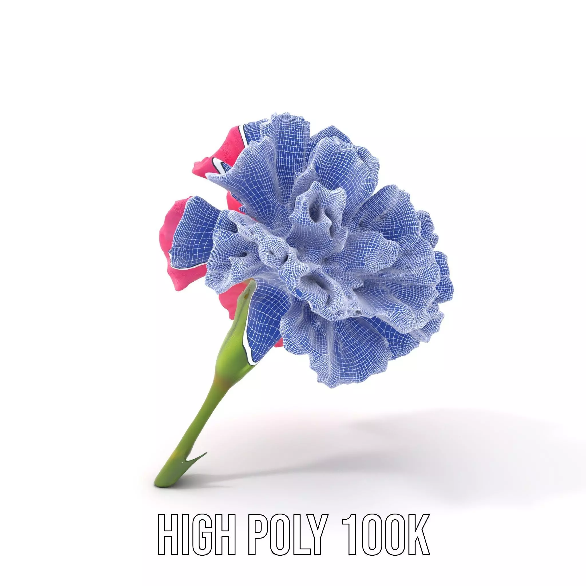 Pink Carnation Bloom model pack Low-poly 3D model_4