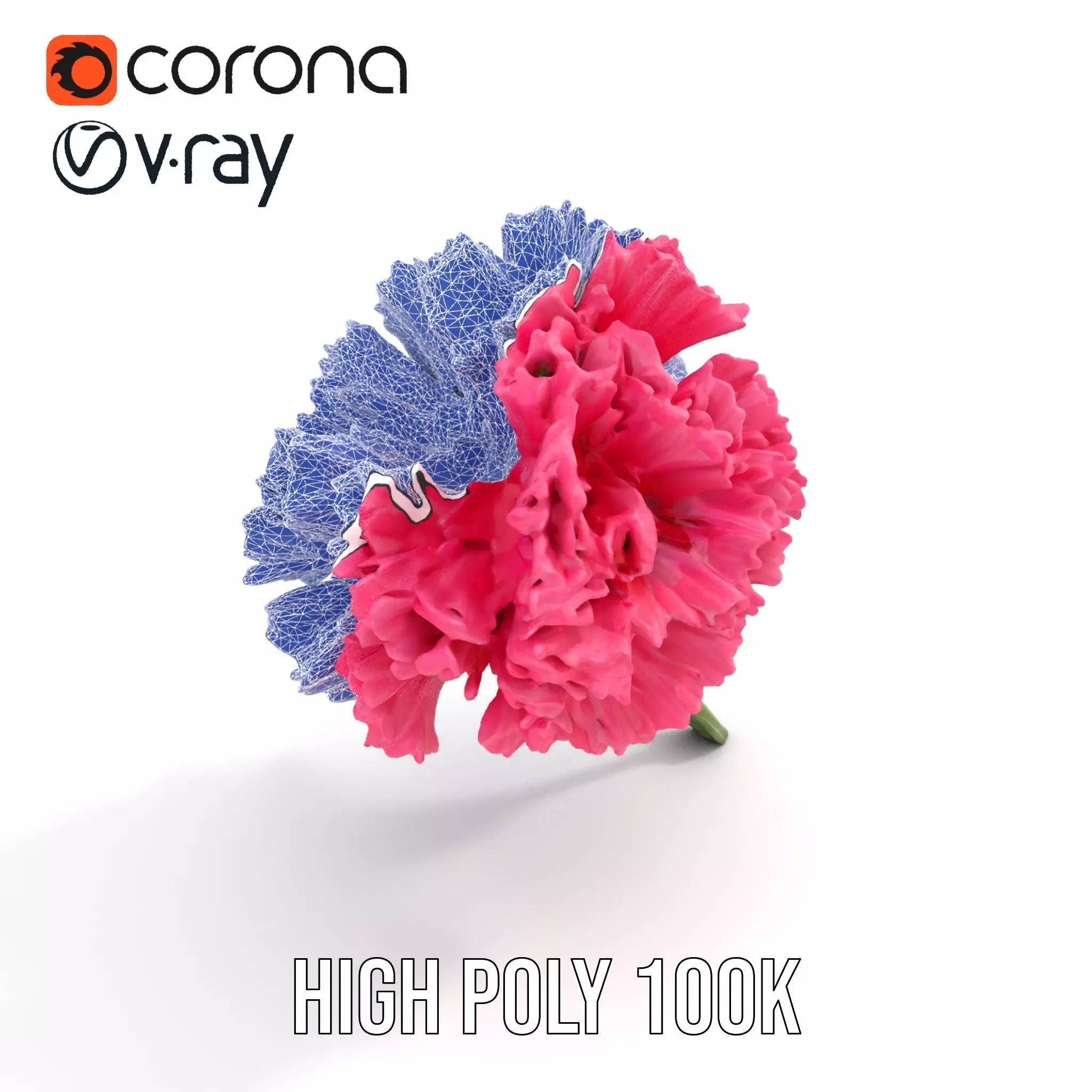 Pink Carnation Bloom model pack Low-poly 3D model_7