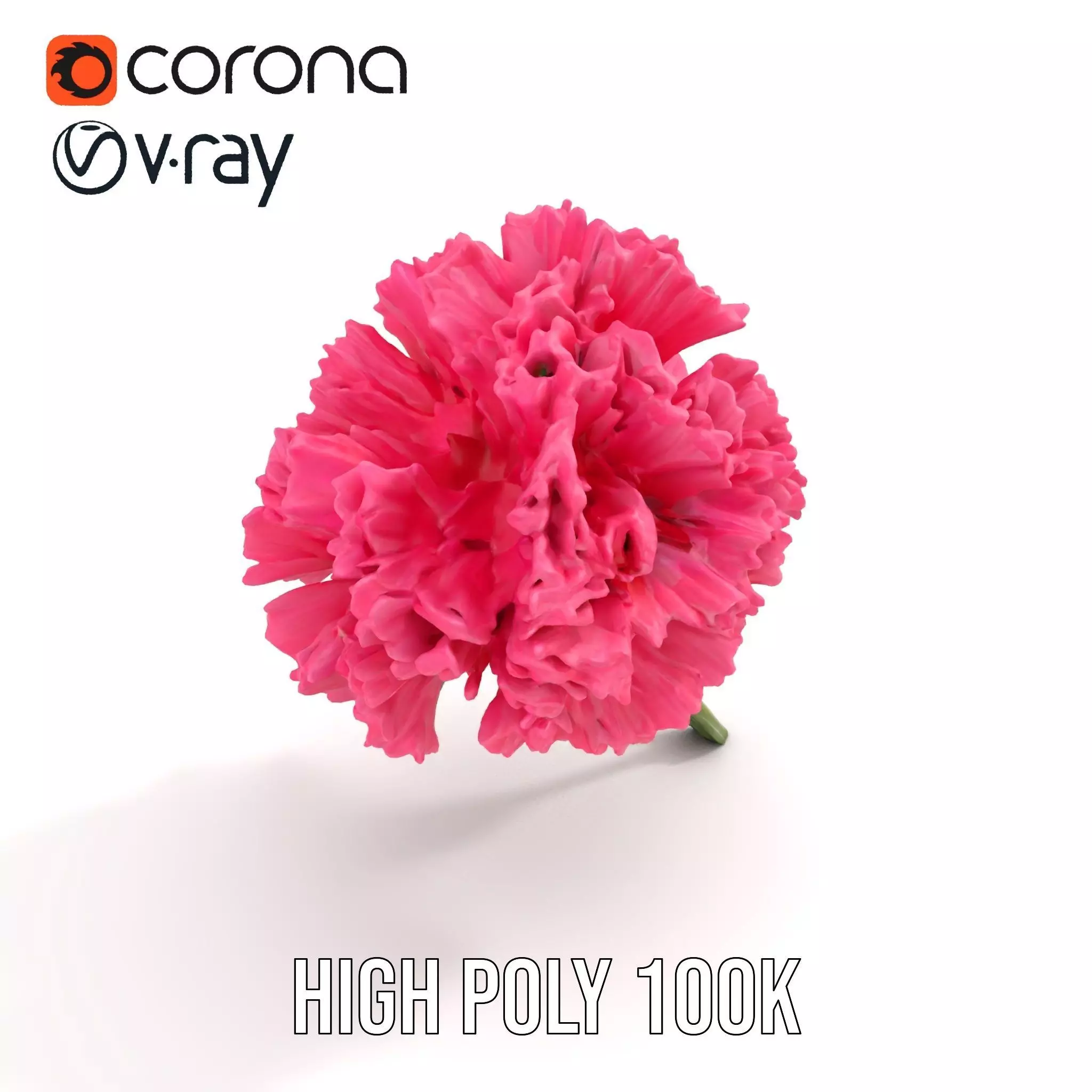 Pink Carnation Bloom model pack Low-poly 3D model_17