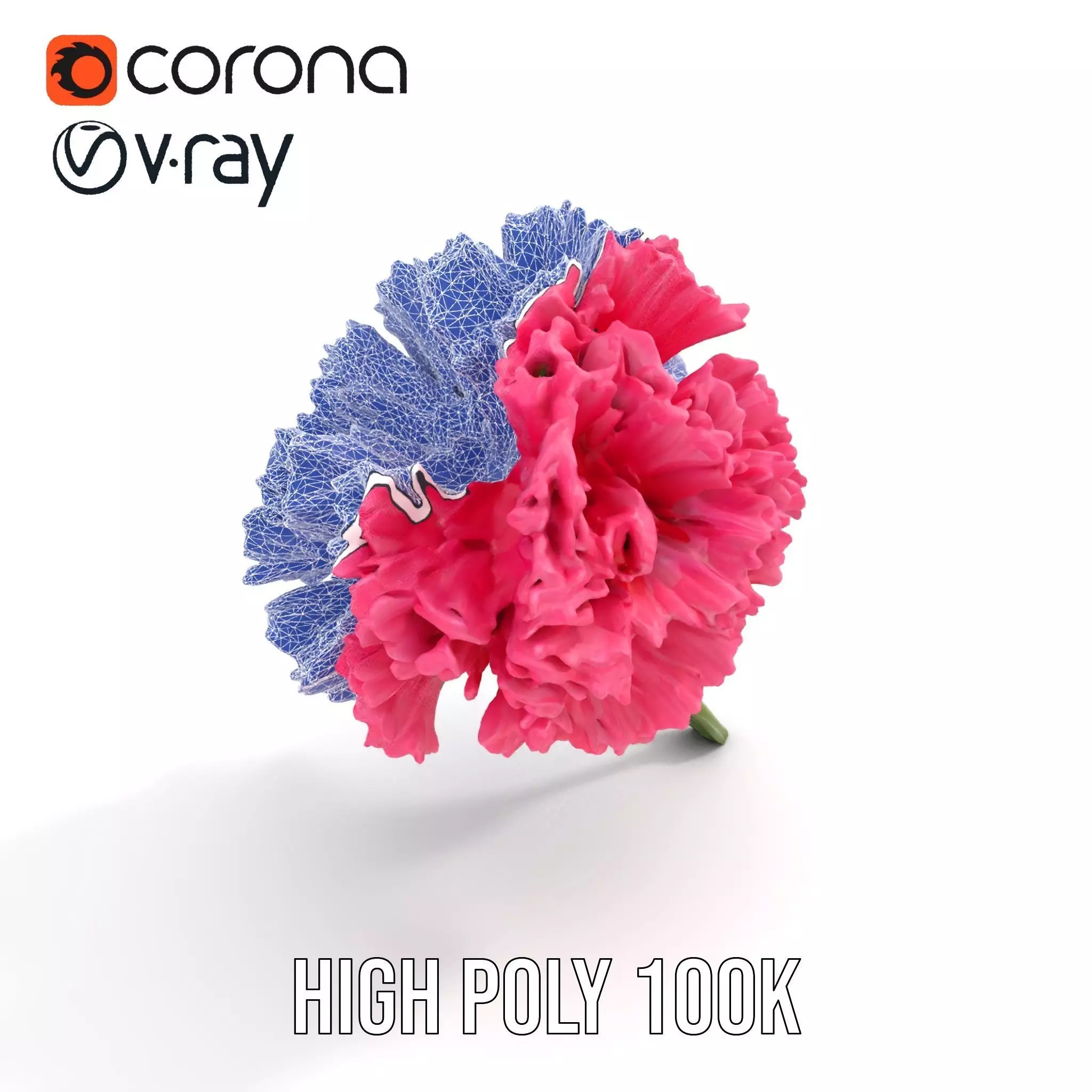 Pink Carnation Bloom model pack Low-poly 3D model_24