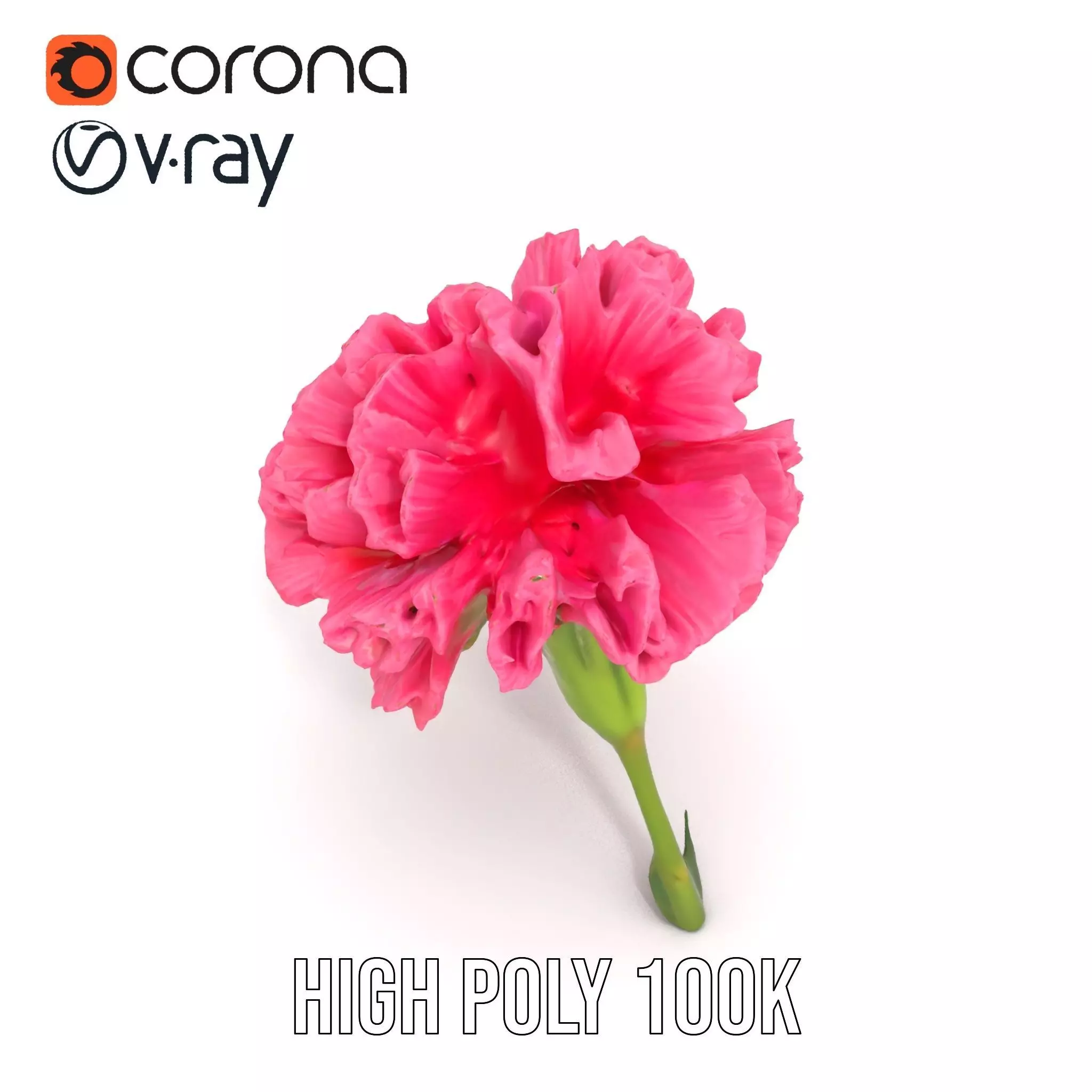 Pink Carnation Bloom model pack Low-poly 3D model_21