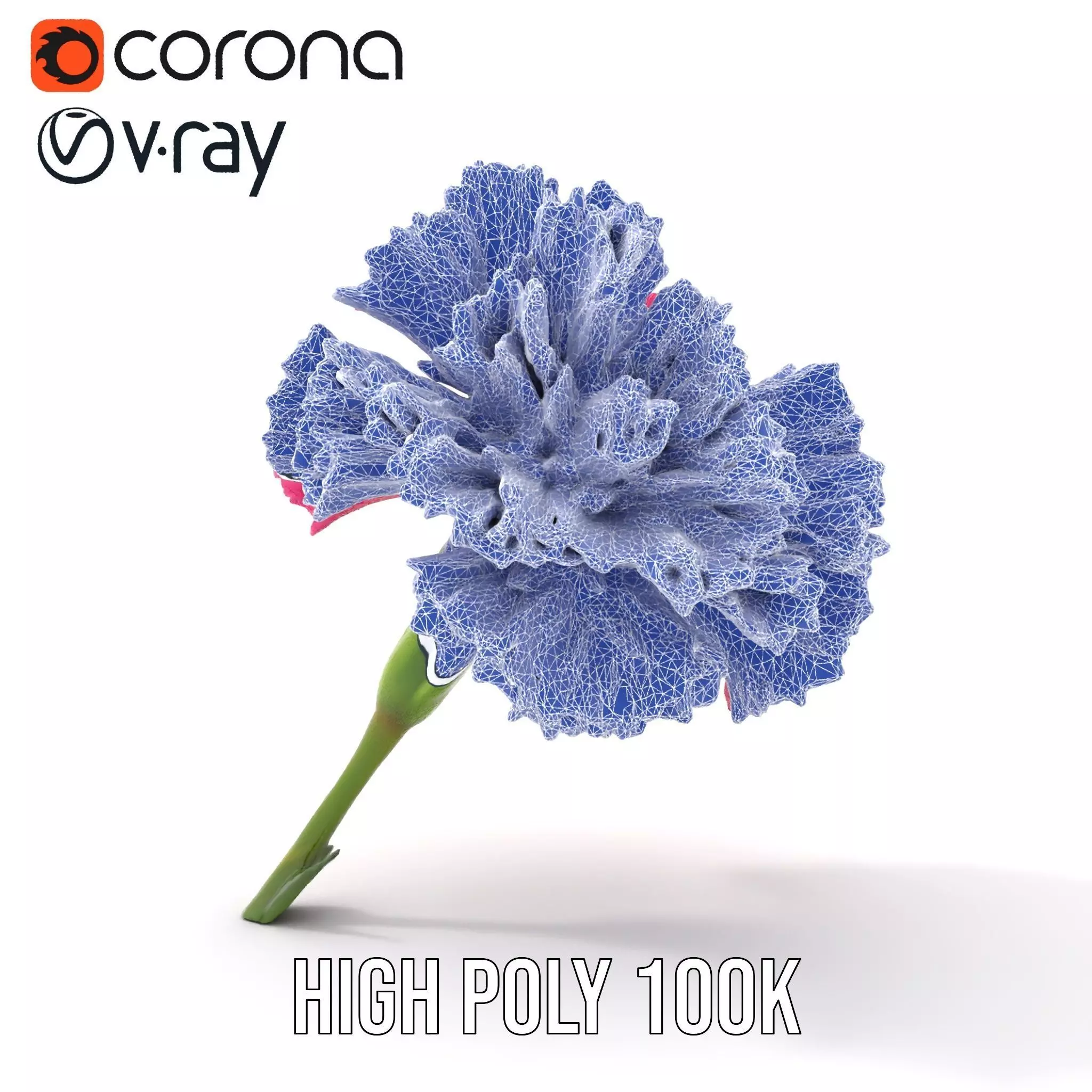 Pink Carnation Bloom model pack Low-poly 3D model_13