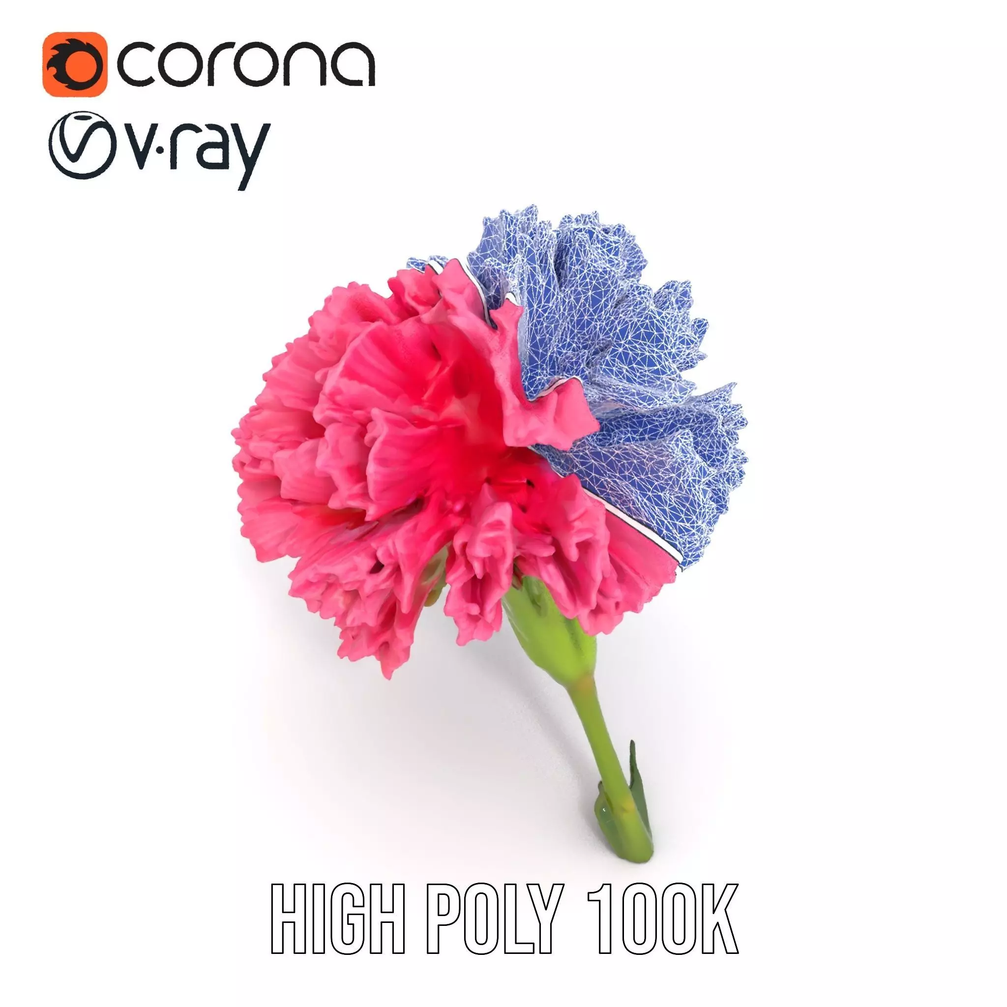 Pink Carnation Bloom model pack Low-poly 3D model_12