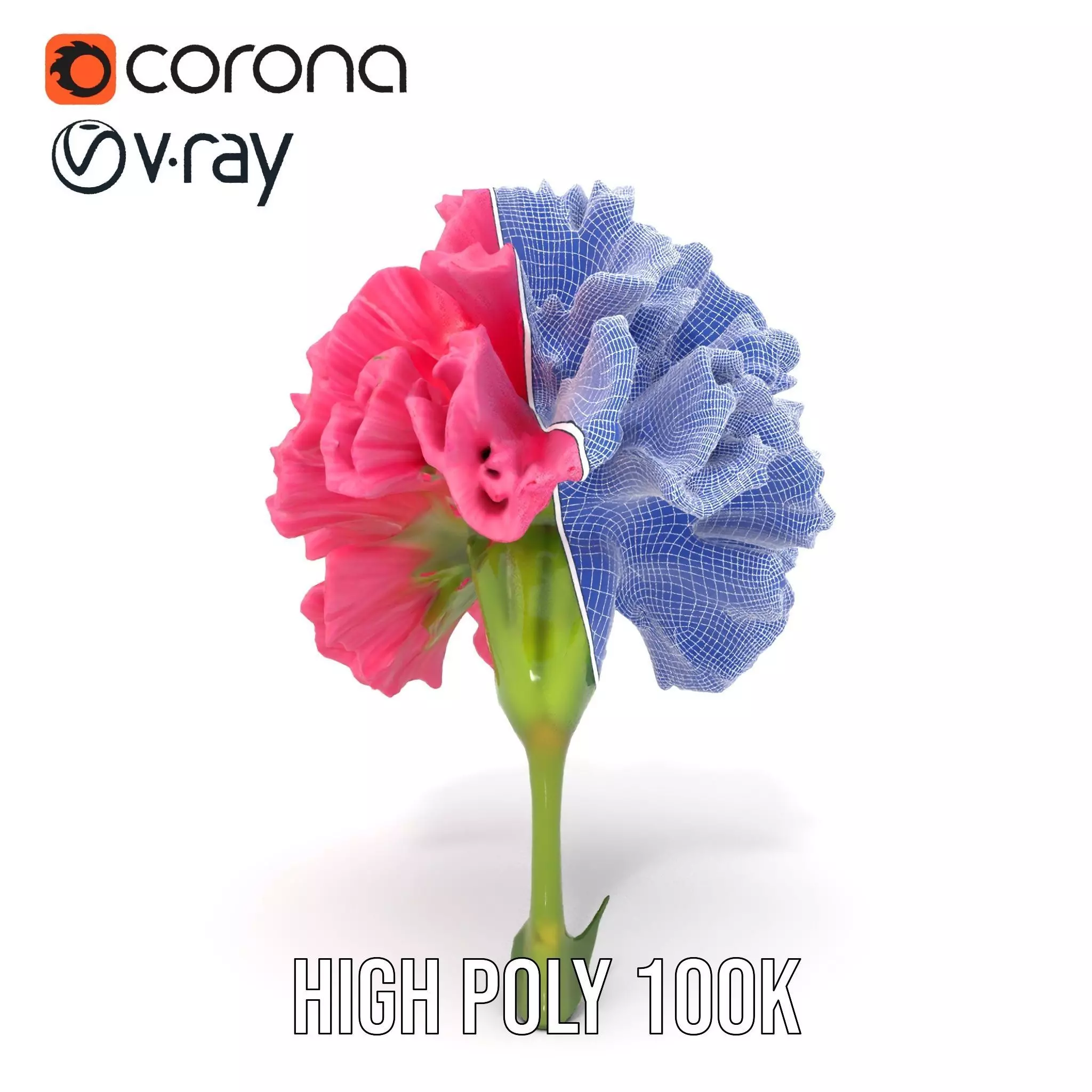 Pink Carnation Bloom model pack Low-poly 3D model_34