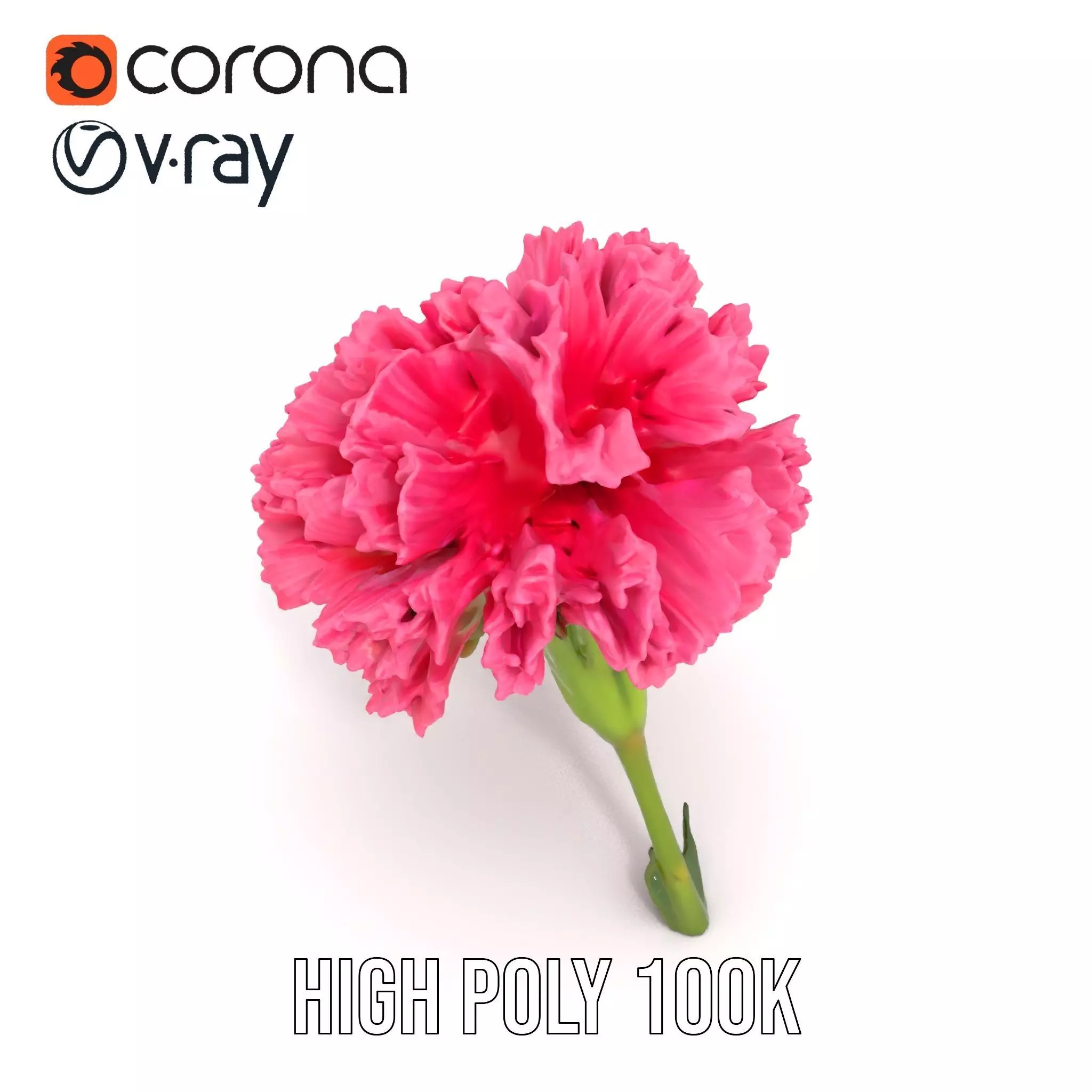 Pink Carnation Bloom model pack Low-poly 3D model_22