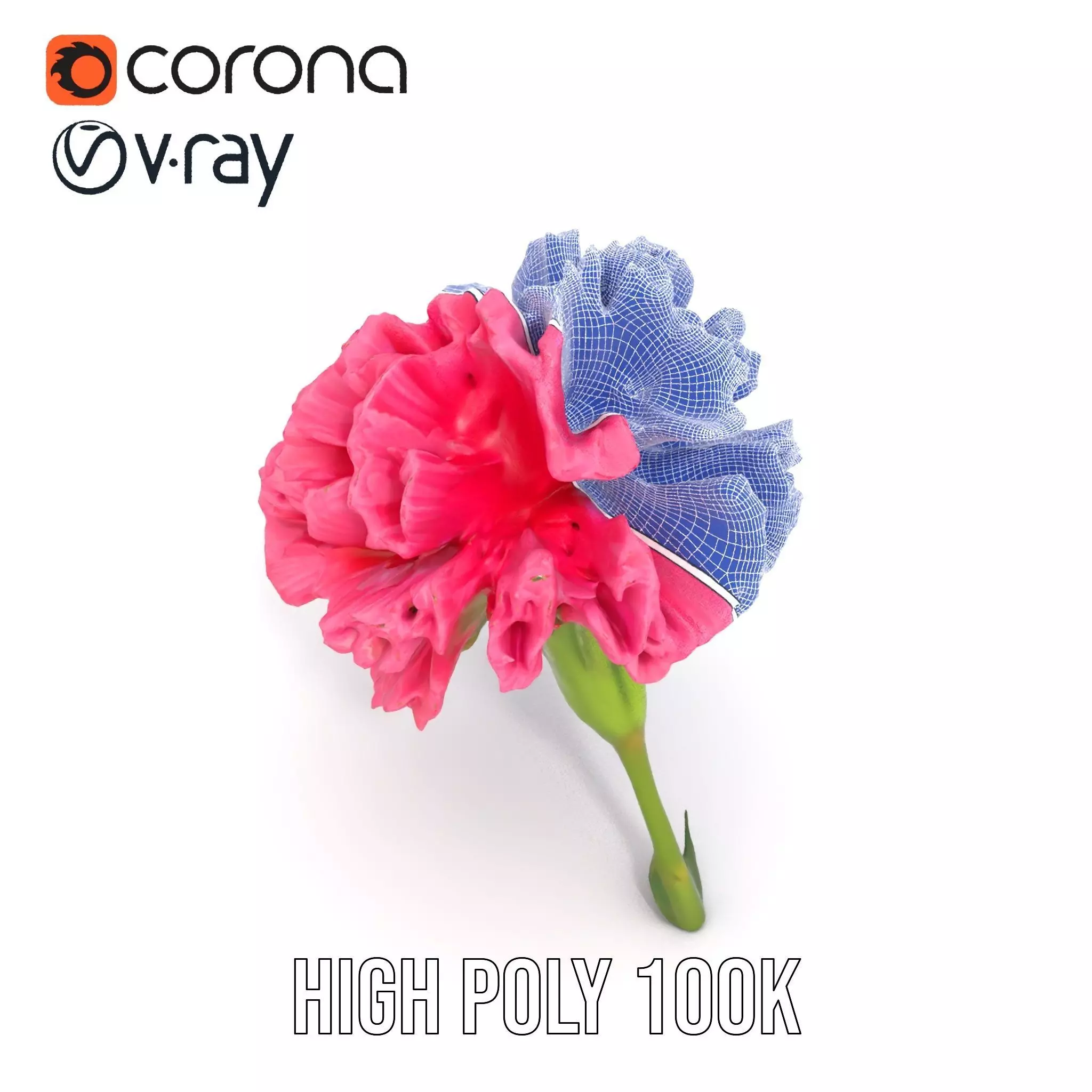 Pink Carnation Bloom model pack Low-poly 3D model_32