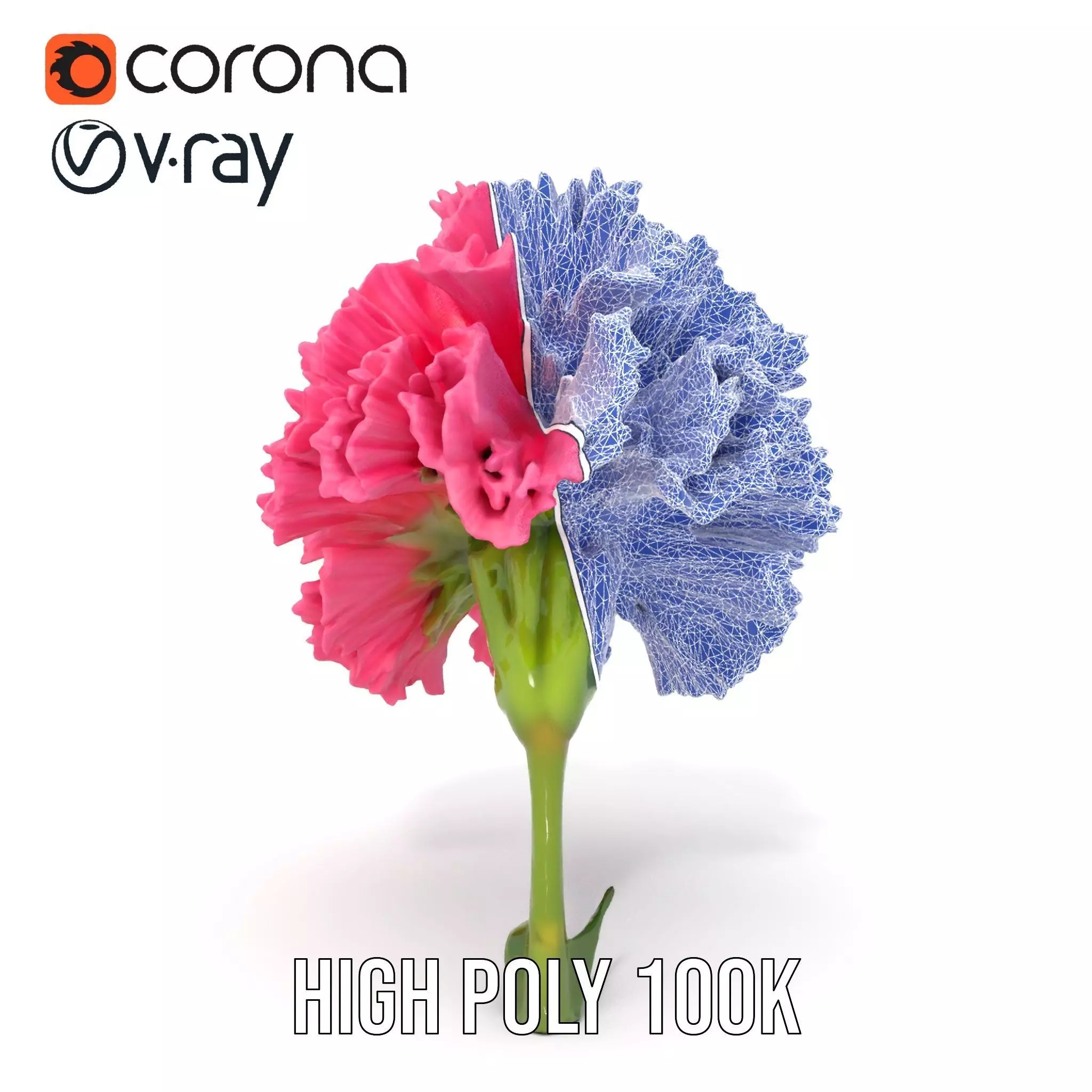 Pink Carnation Bloom model pack Low-poly 3D model_29