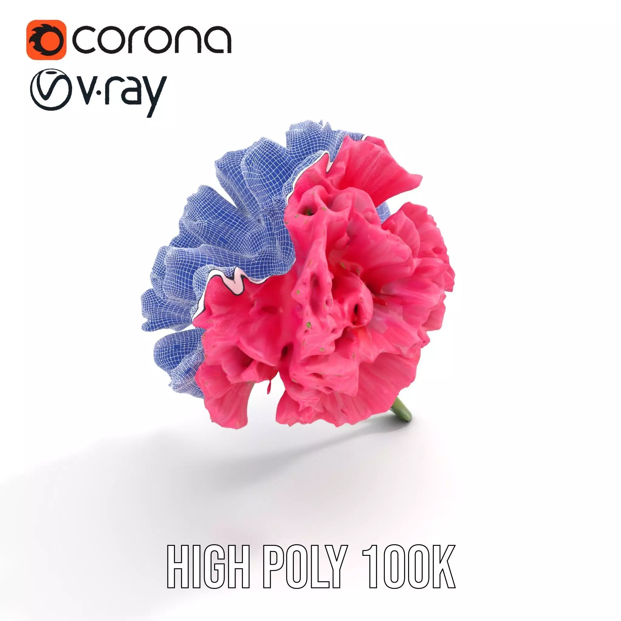 Pink Carnation Bloom model pack Low-poly 3D model_33