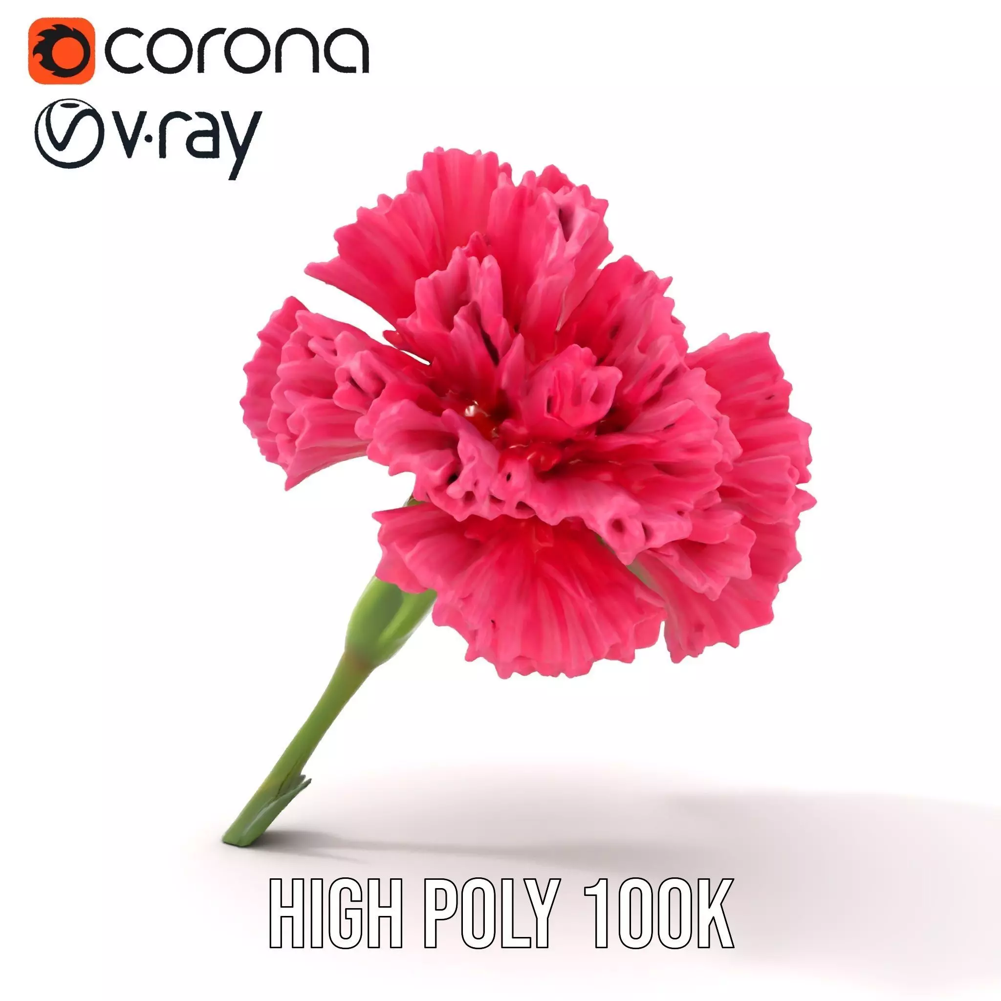 Pink Carnation Bloom model pack Low-poly 3D model_23