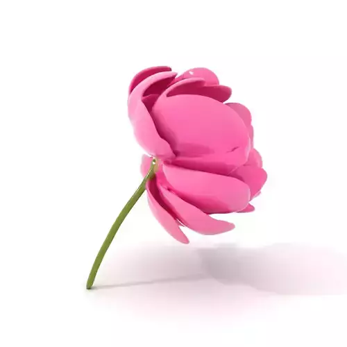 Pink Peony Flower model pack Low-poly 3D model
