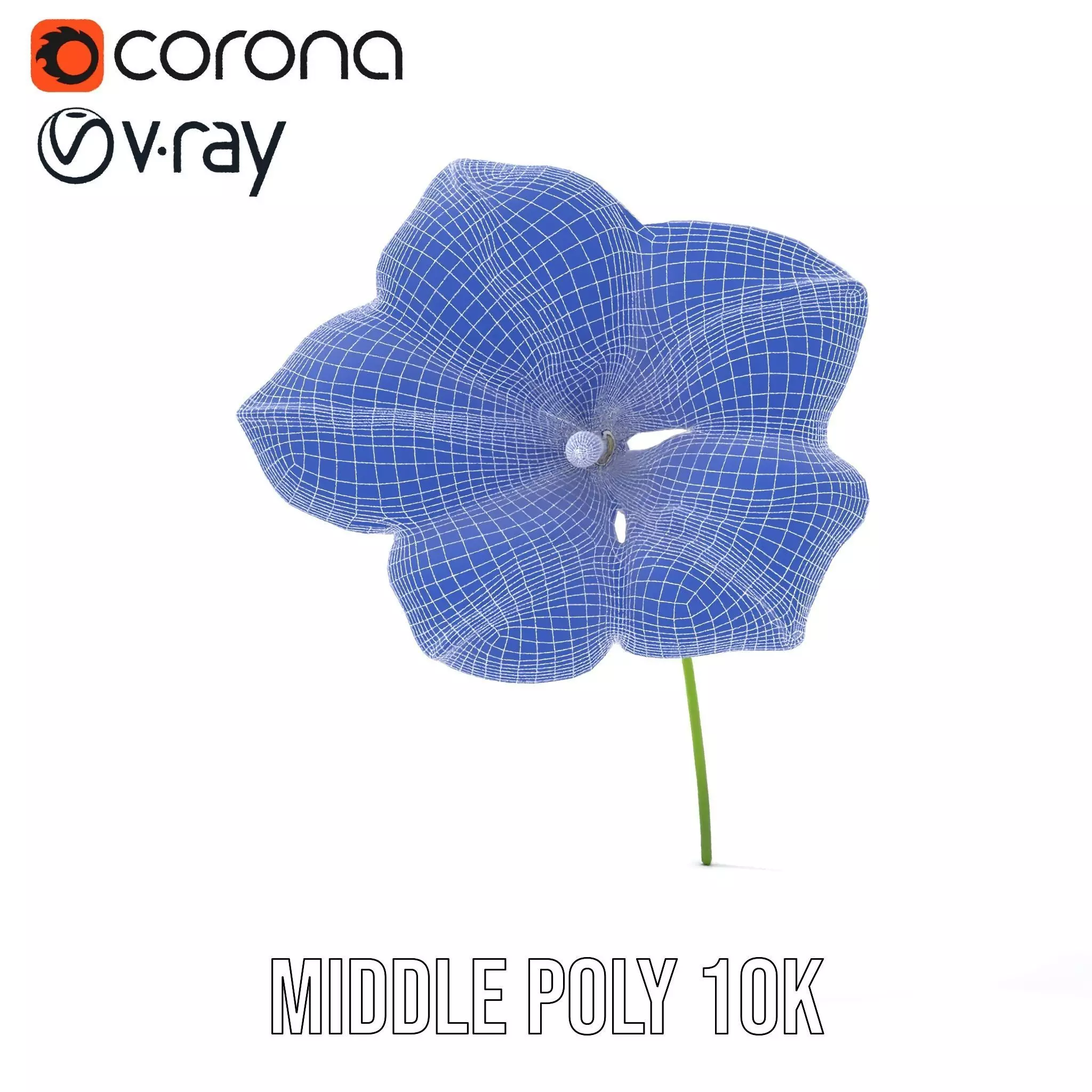 Blue Morning Glory model pack Low-poly 3D model_24