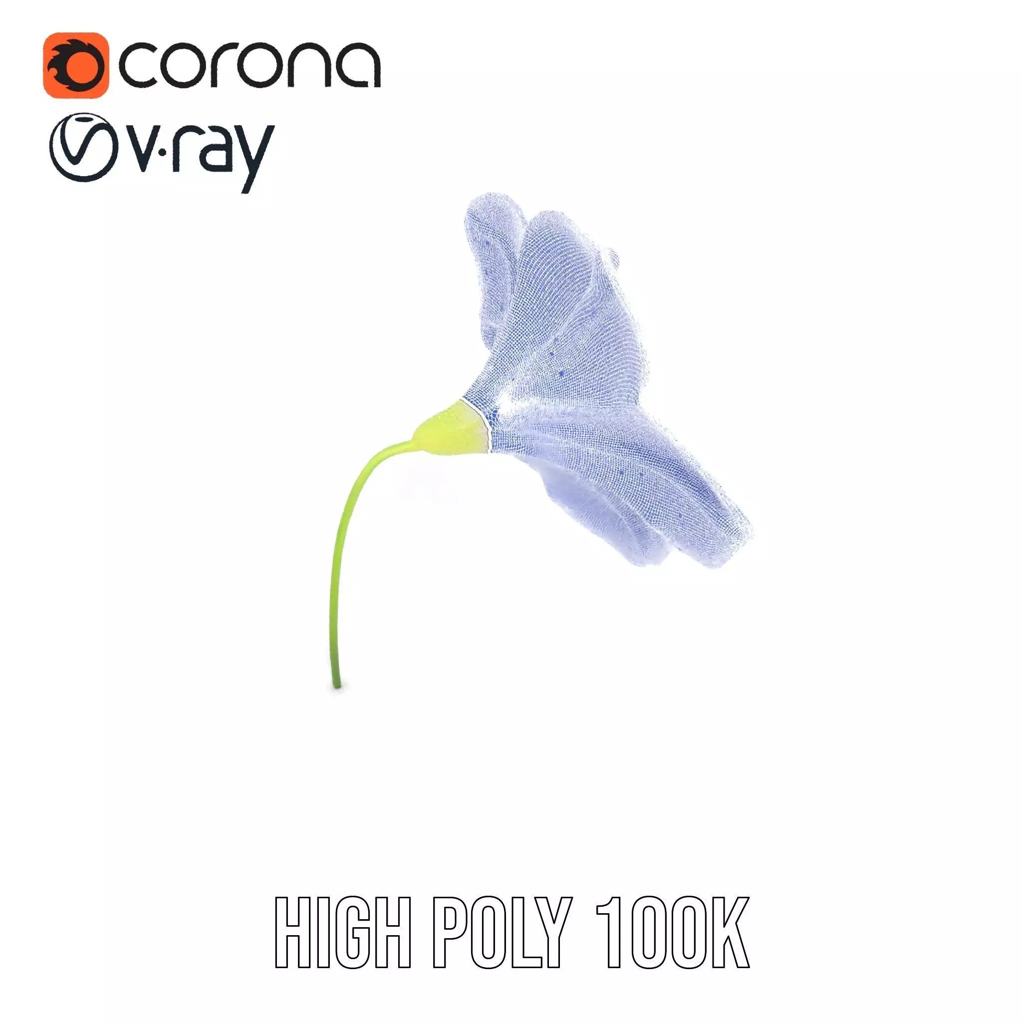 Blue Morning Glory model pack Low-poly 3D model_20