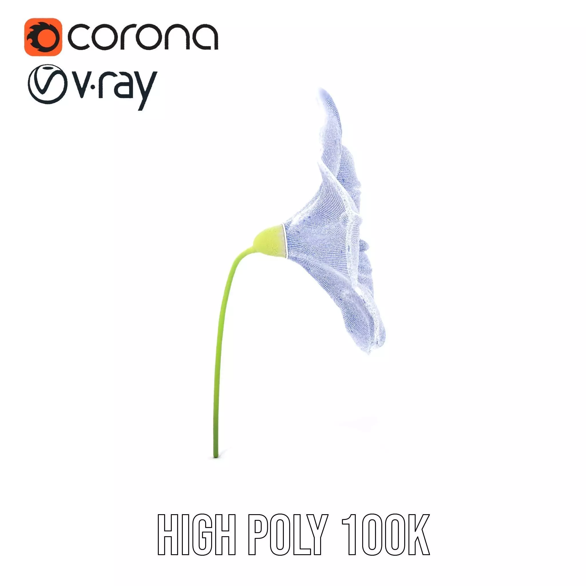 Blue Morning Glory model pack Low-poly 3D model_34