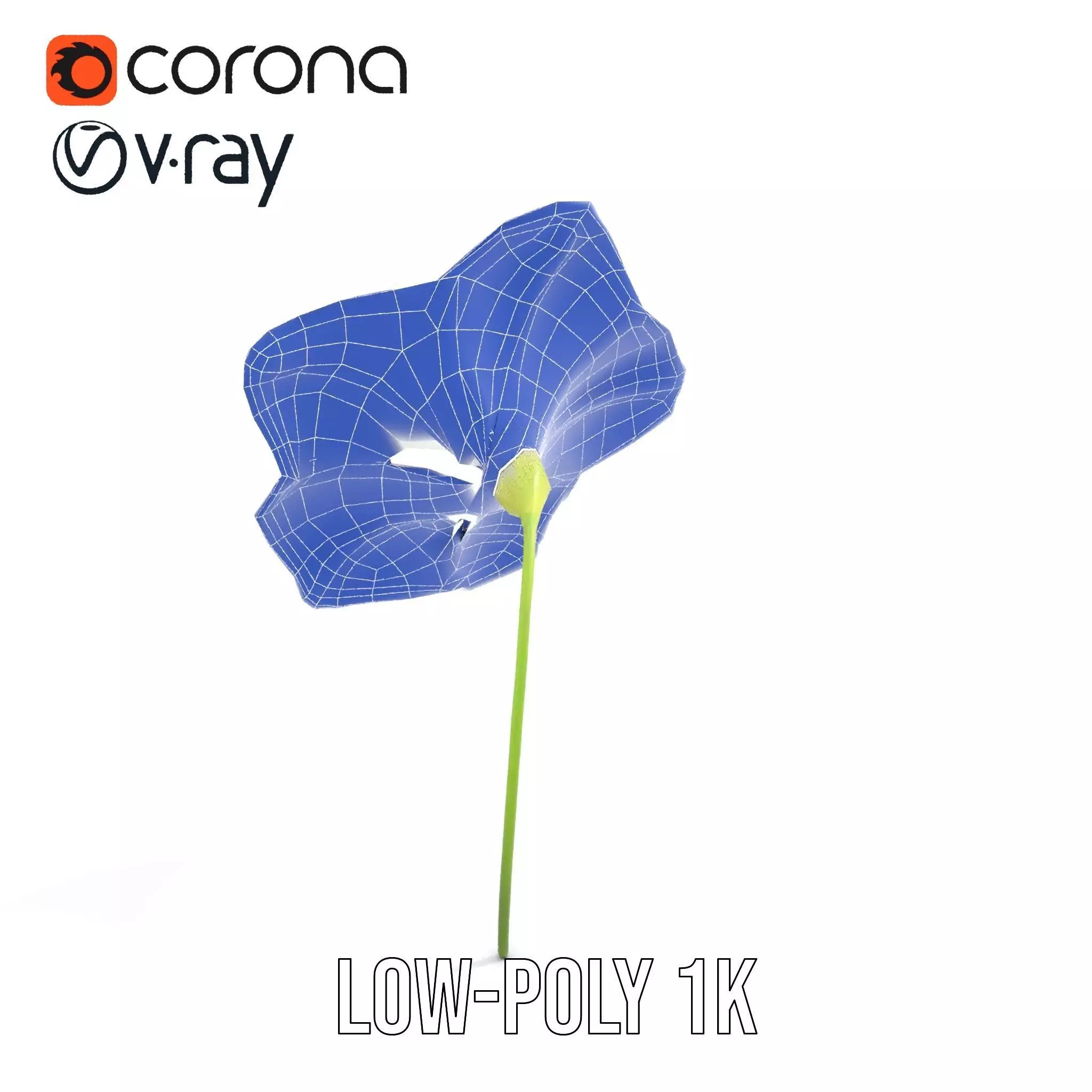 Blue Morning Glory model pack Low-poly 3D model_30