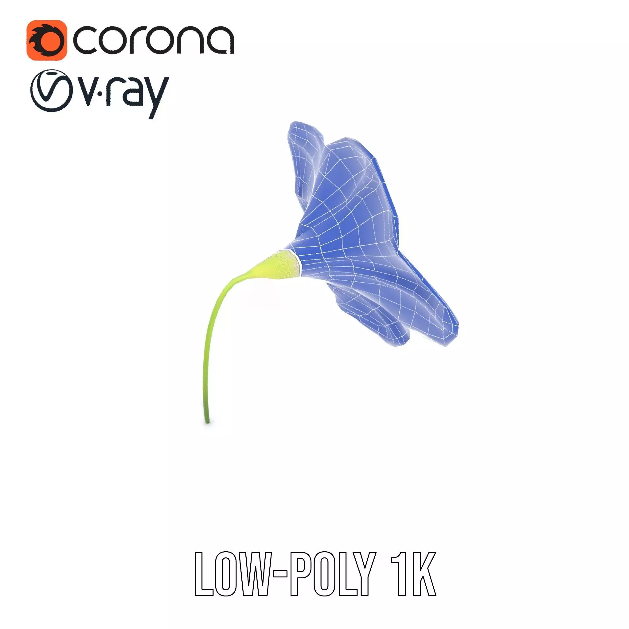 Blue Morning Glory model pack Low-poly 3D model_27