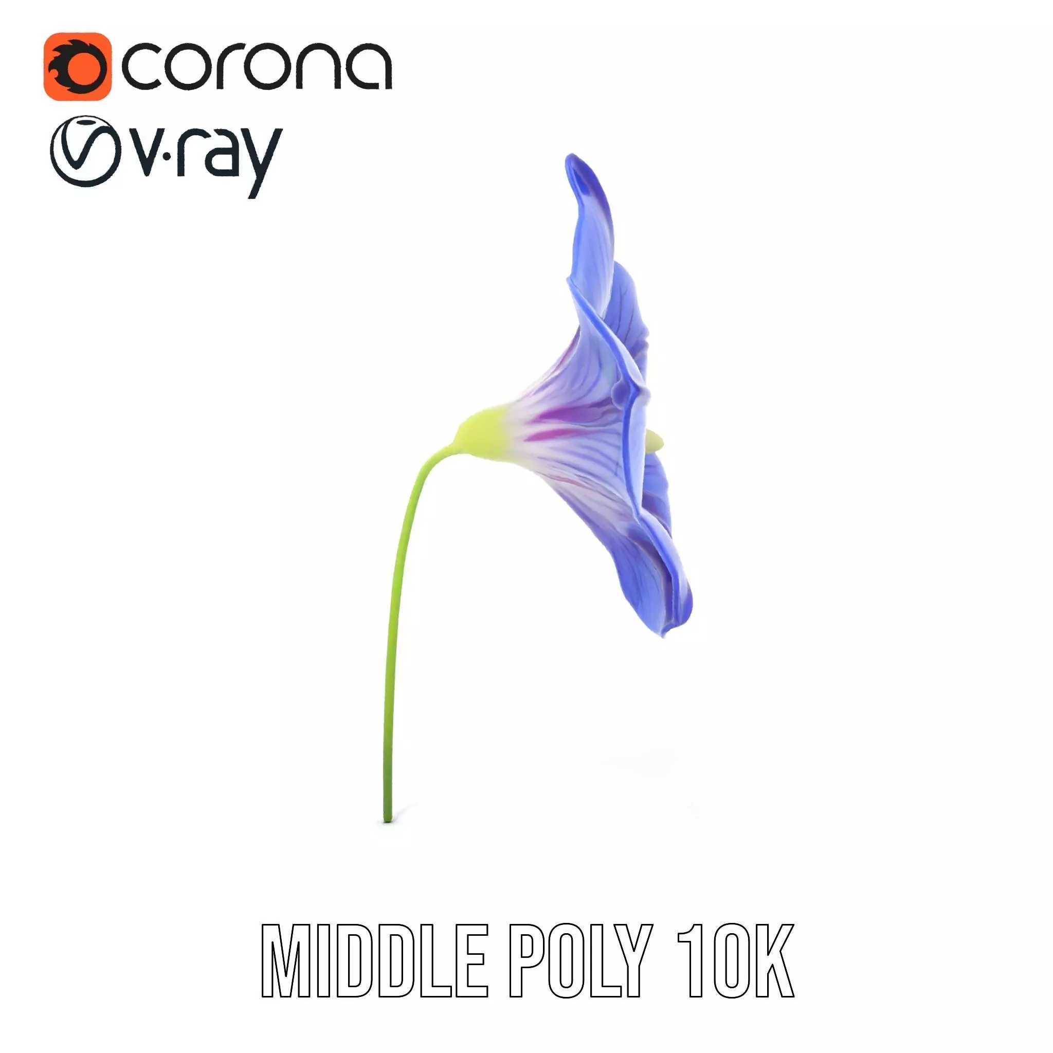 Blue Morning Glory model pack Low-poly 3D model_26