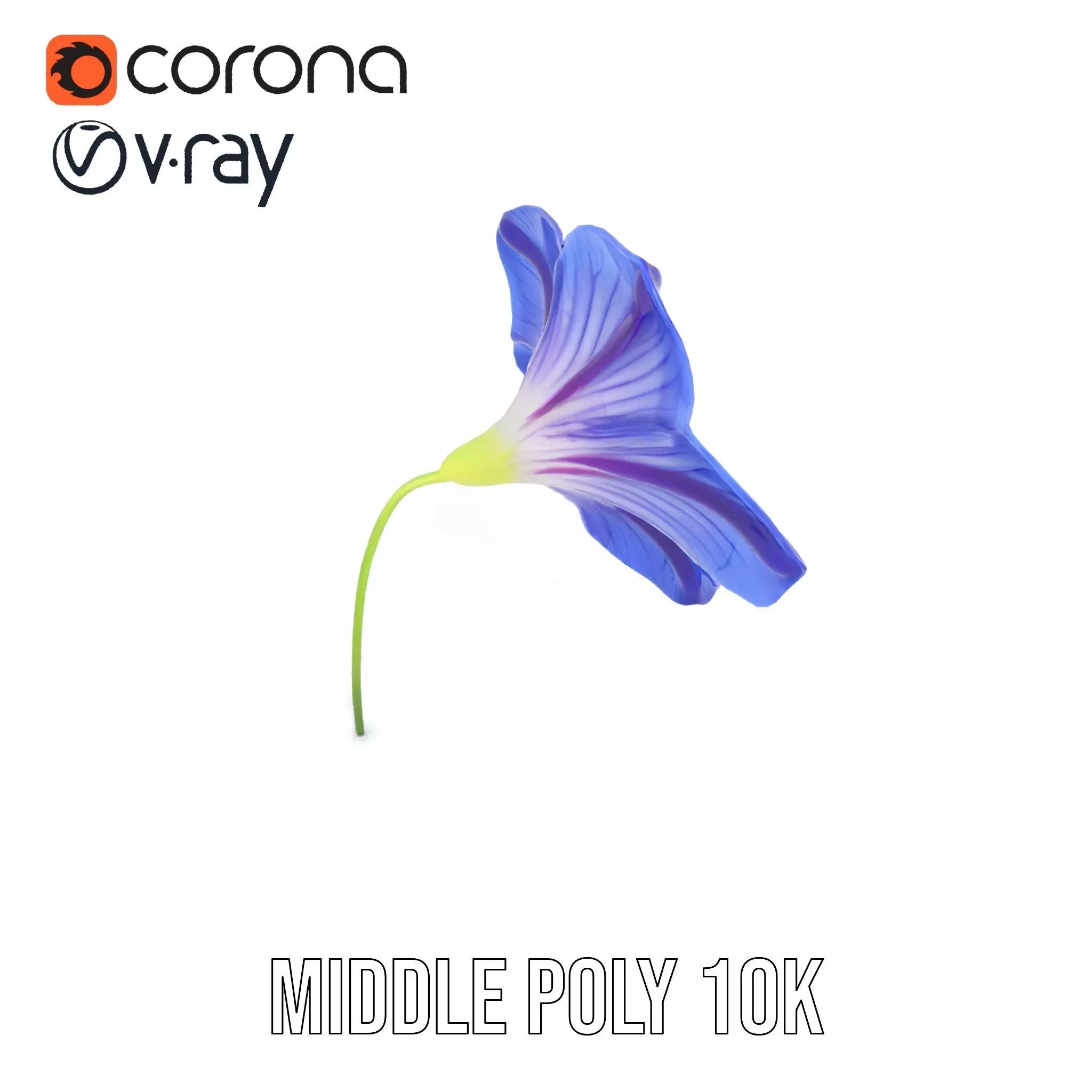 Blue Morning Glory model pack Low-poly 3D model_13