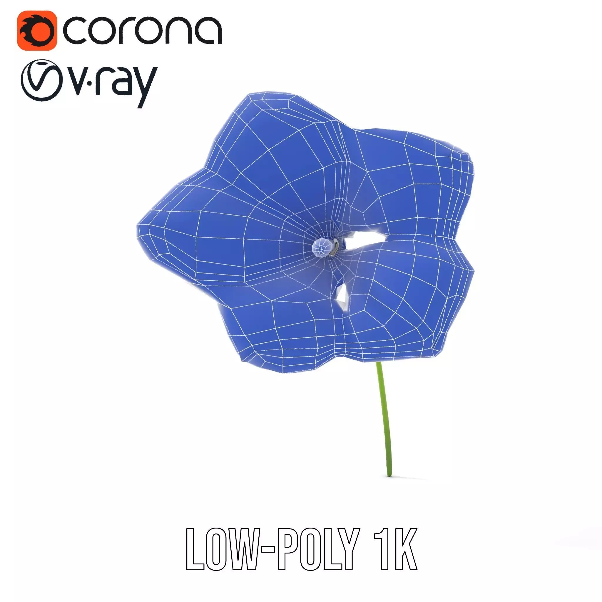 Blue Morning Glory model pack Low-poly 3D model_25