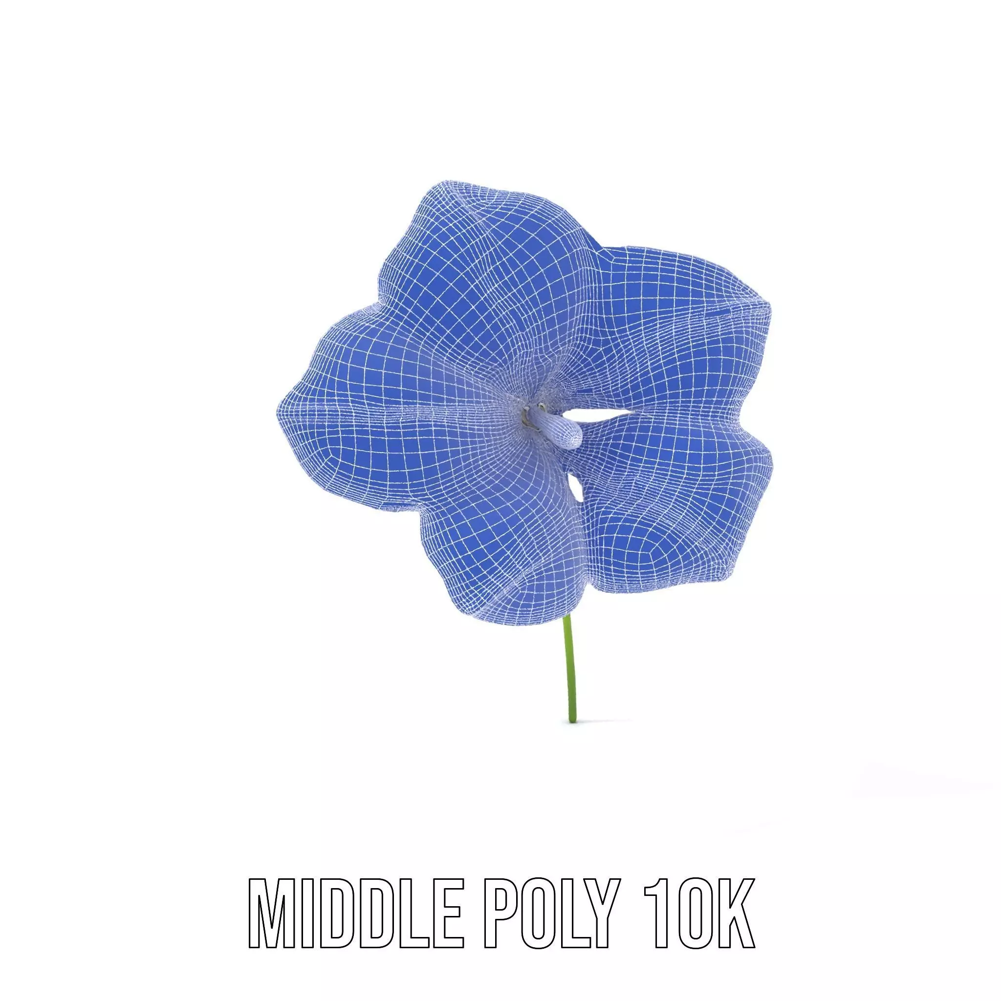 Blue Morning Glory model pack Low-poly 3D model_21