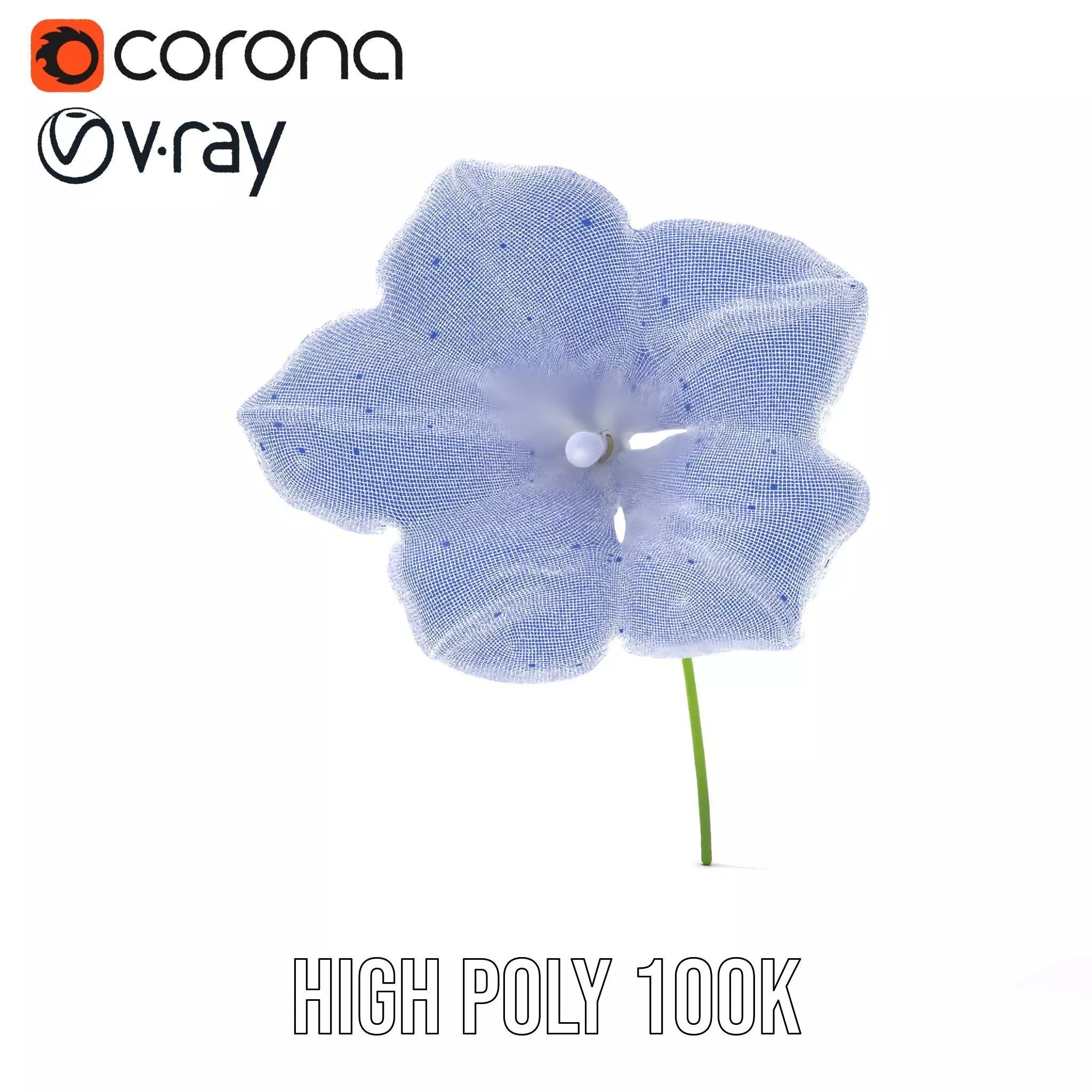 Blue Morning Glory model pack Low-poly 3D model_33