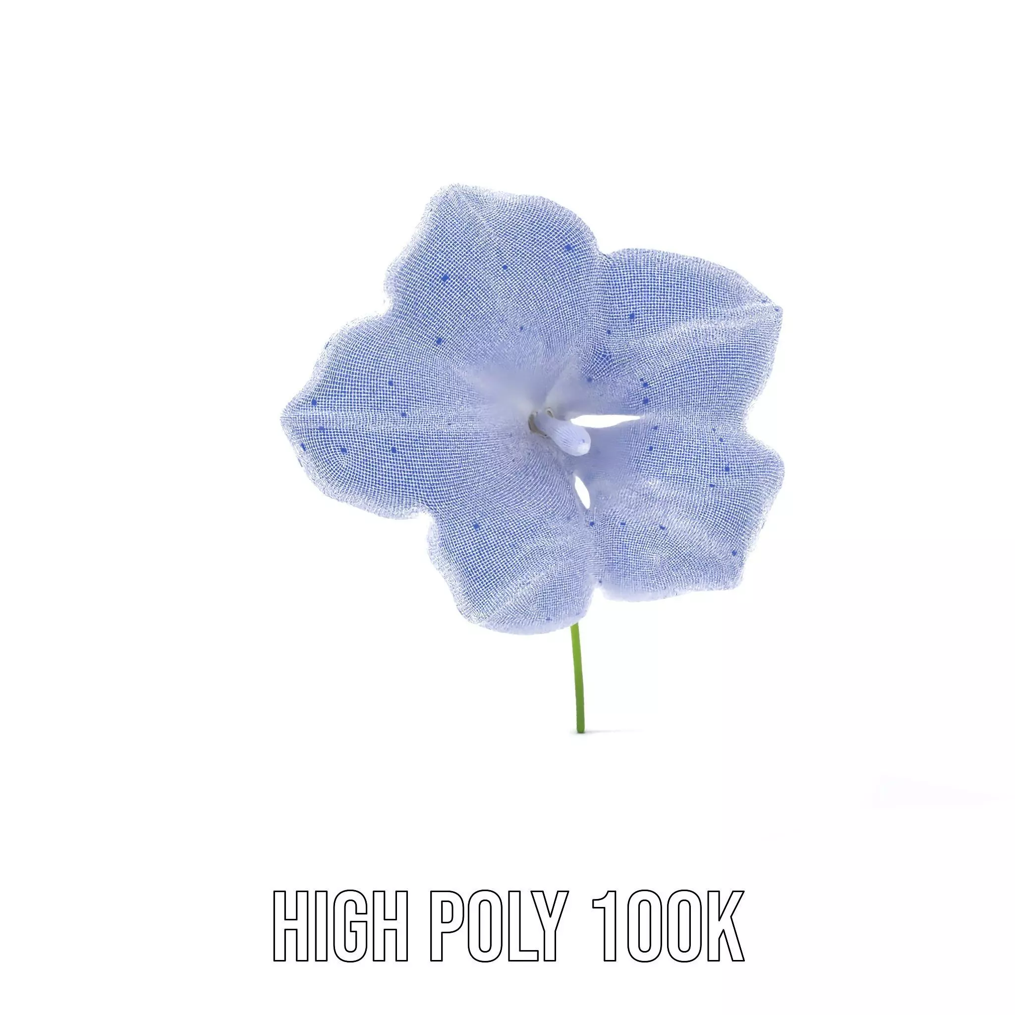 Blue Morning Glory model pack Low-poly 3D model_4