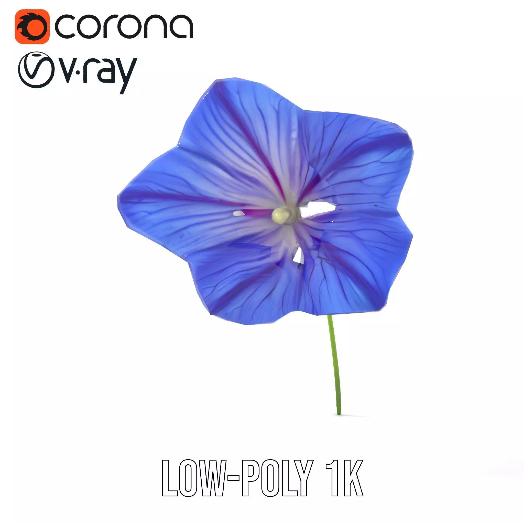 Blue Morning Glory model pack Low-poly 3D model_14