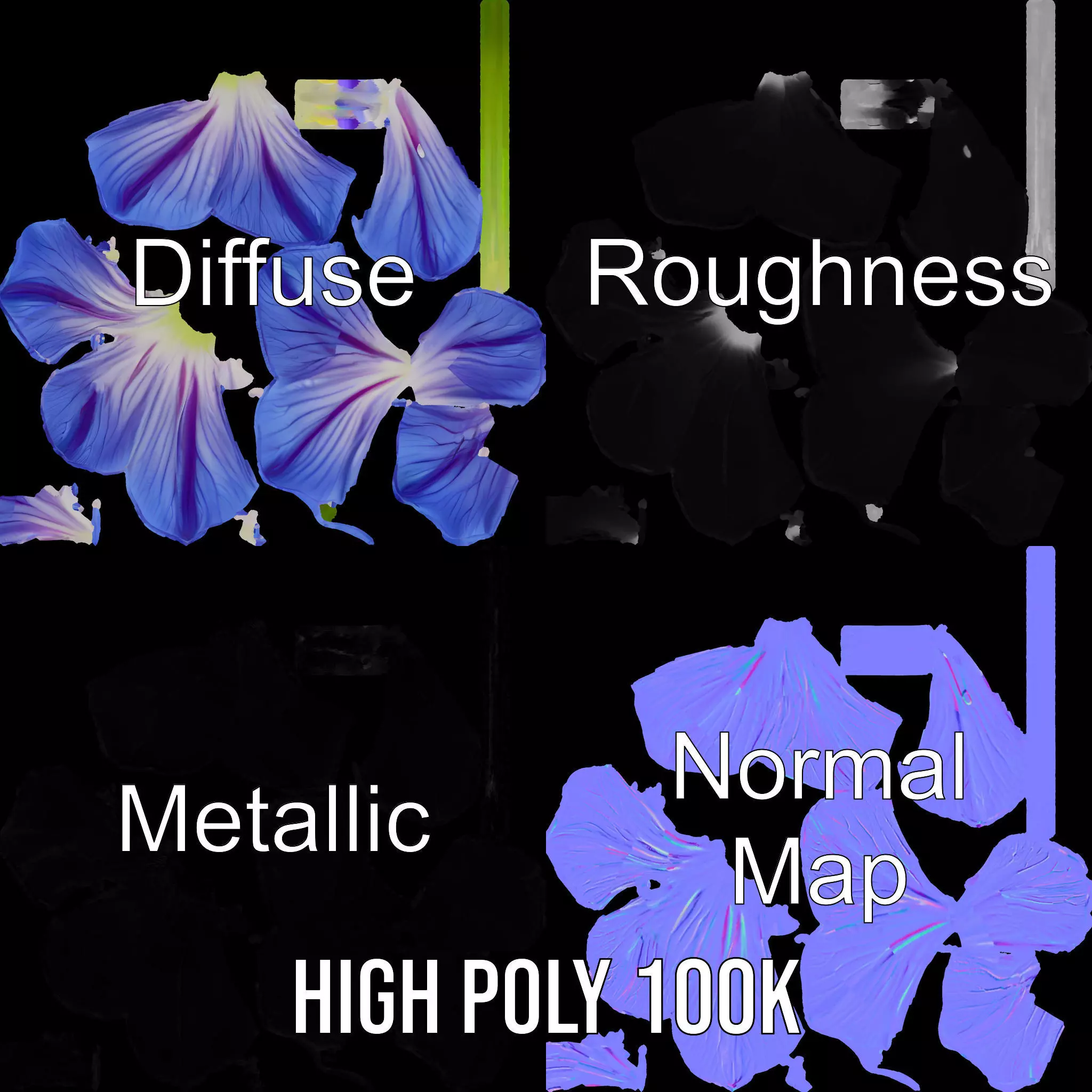 Blue Morning Glory model pack Low-poly 3D model_3