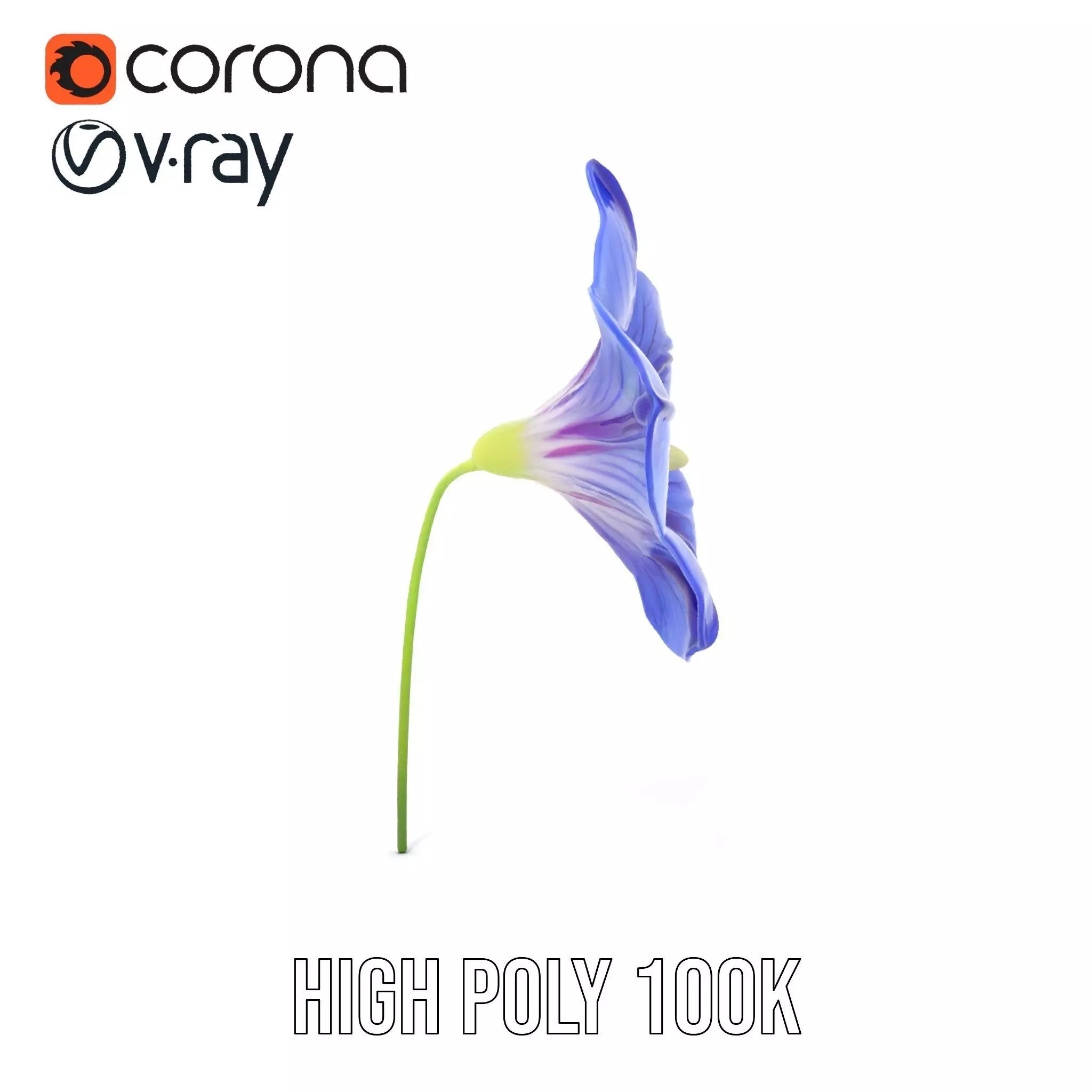 Blue Morning Glory model pack Low-poly 3D model_31