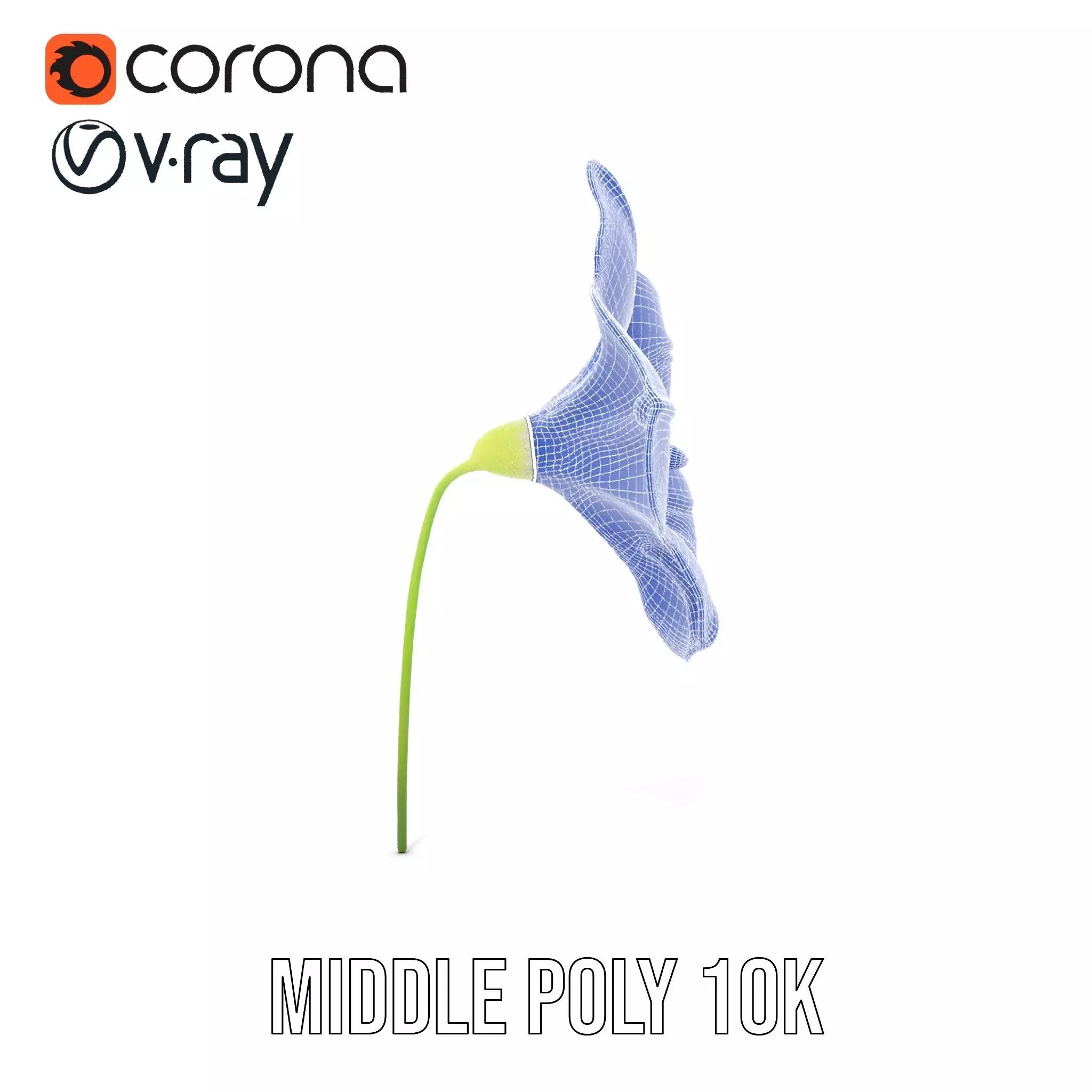 Blue Morning Glory model pack Low-poly 3D model_29