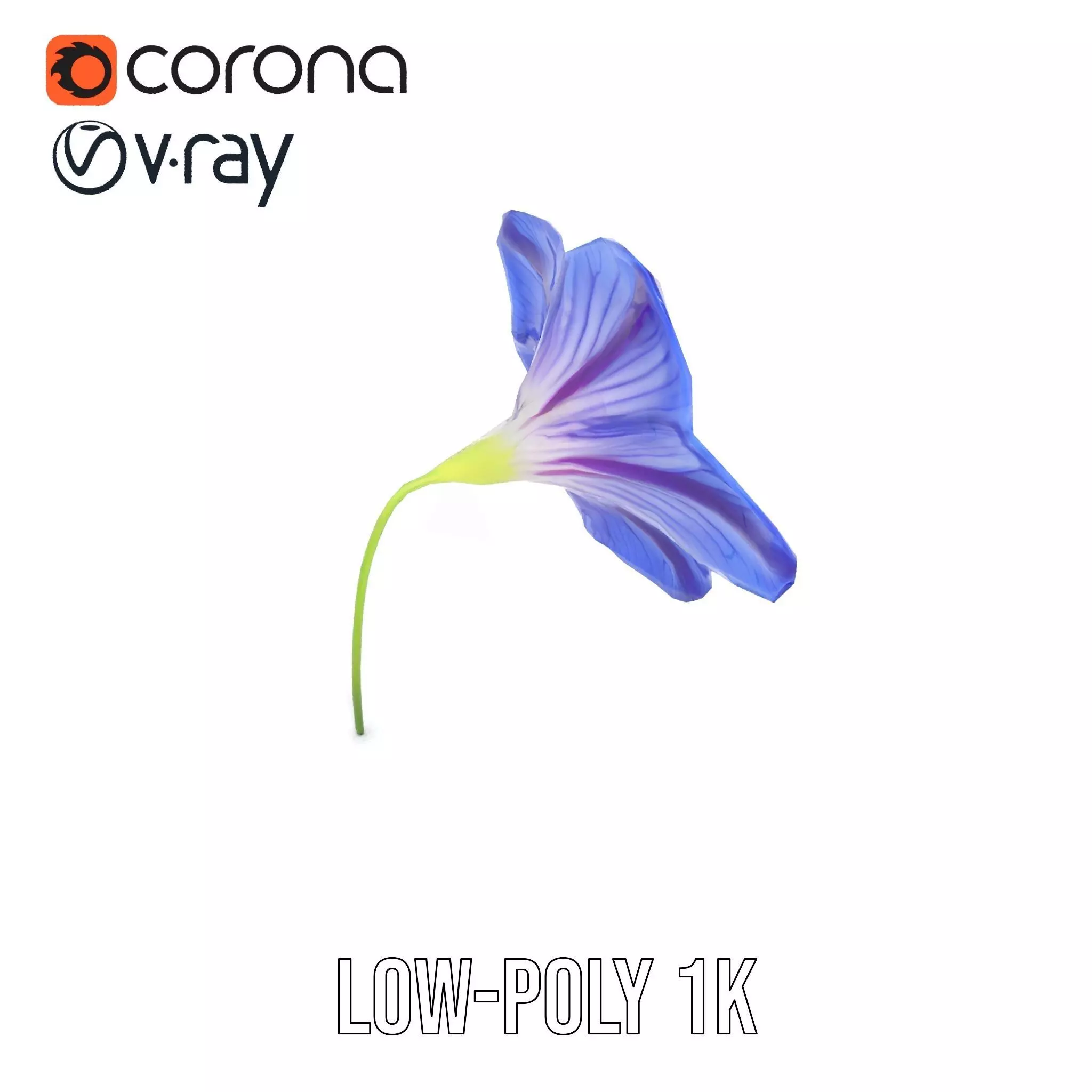 Blue Morning Glory model pack Low-poly 3D model_9