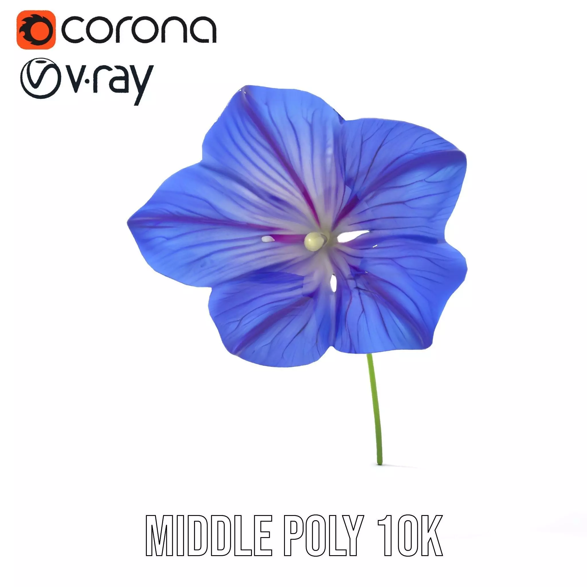 Blue Morning Glory model pack Low-poly 3D model_18