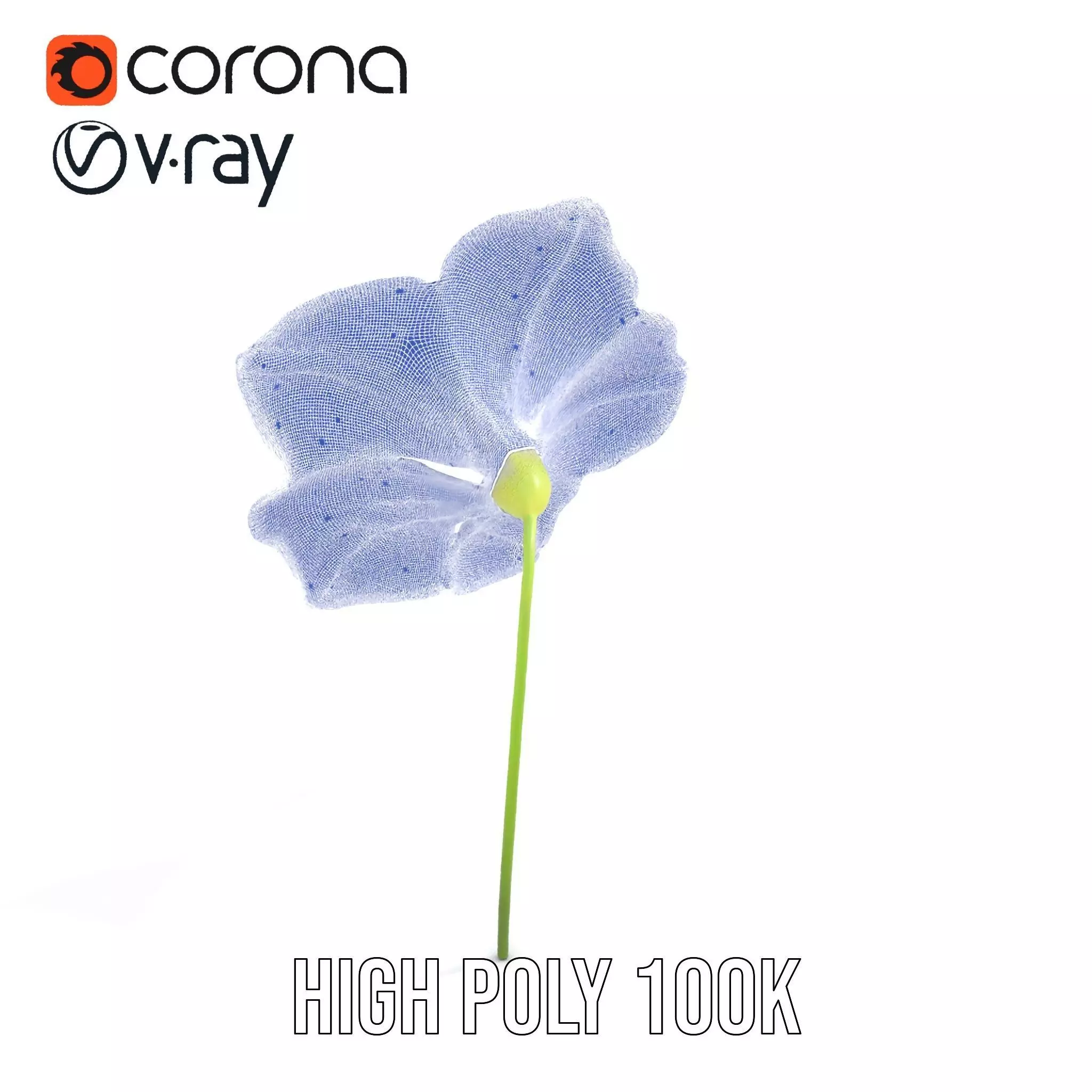 Blue Morning Glory model pack Low-poly 3D model_32