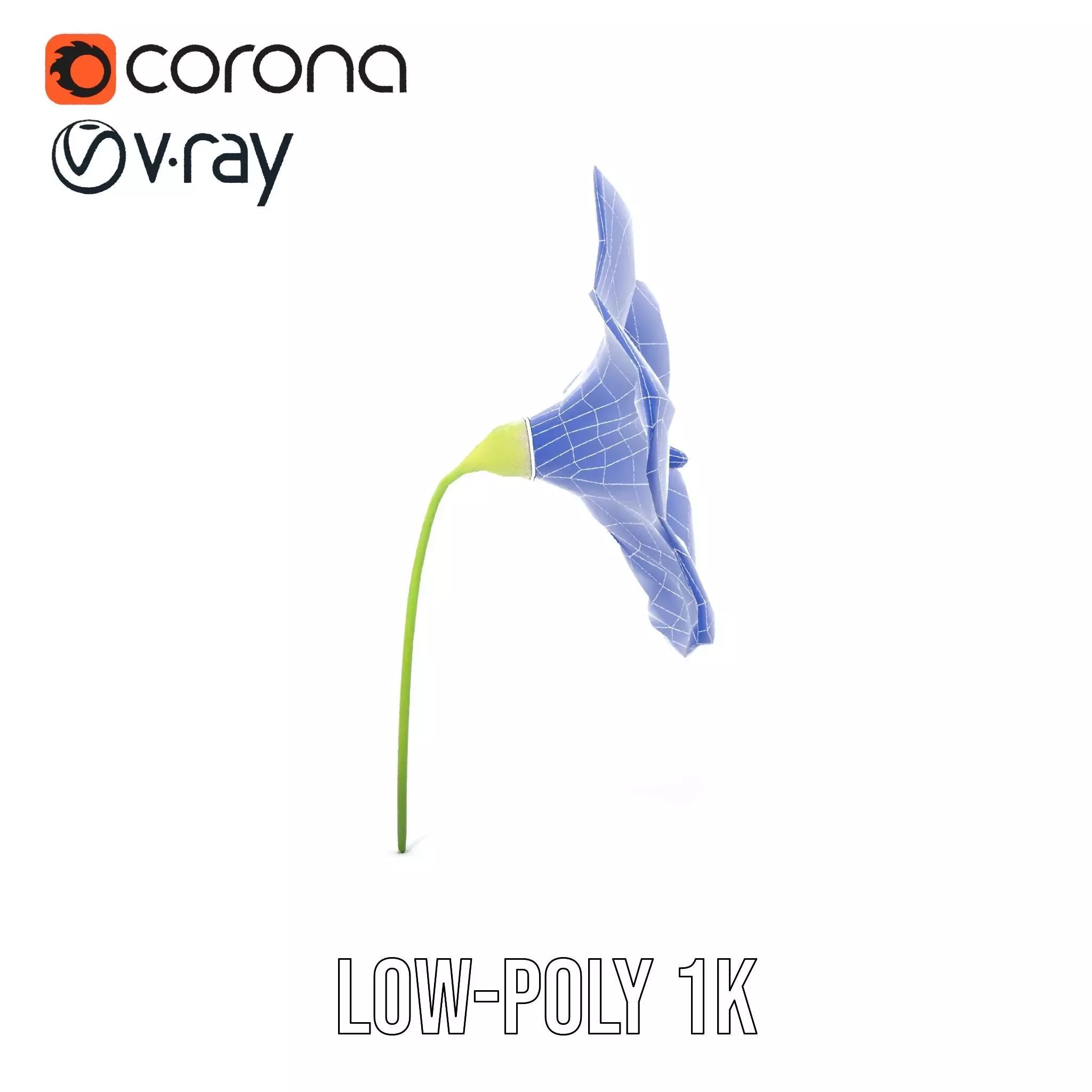 Blue Morning Glory model pack Low-poly 3D model_17