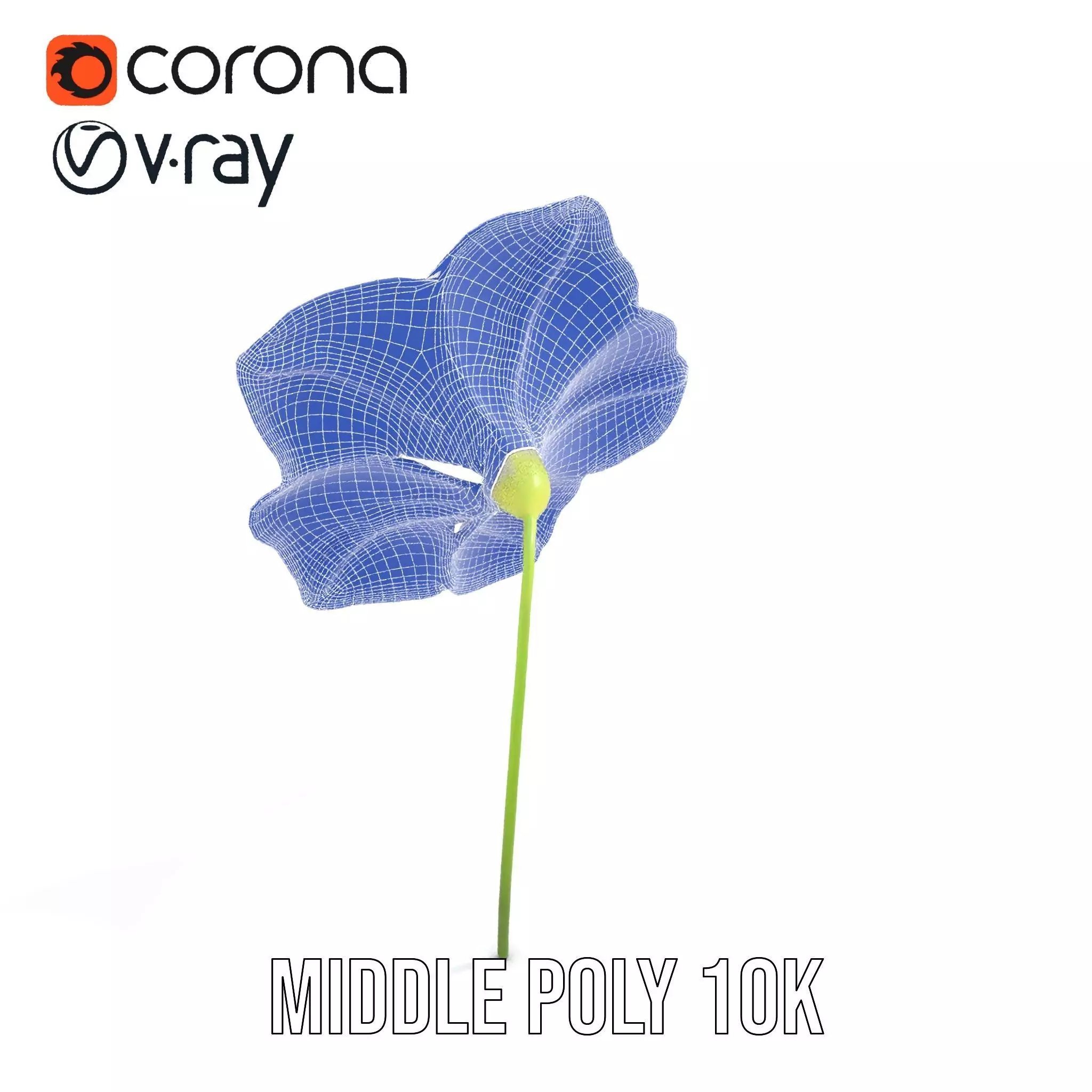Blue Morning Glory model pack Low-poly 3D model_11