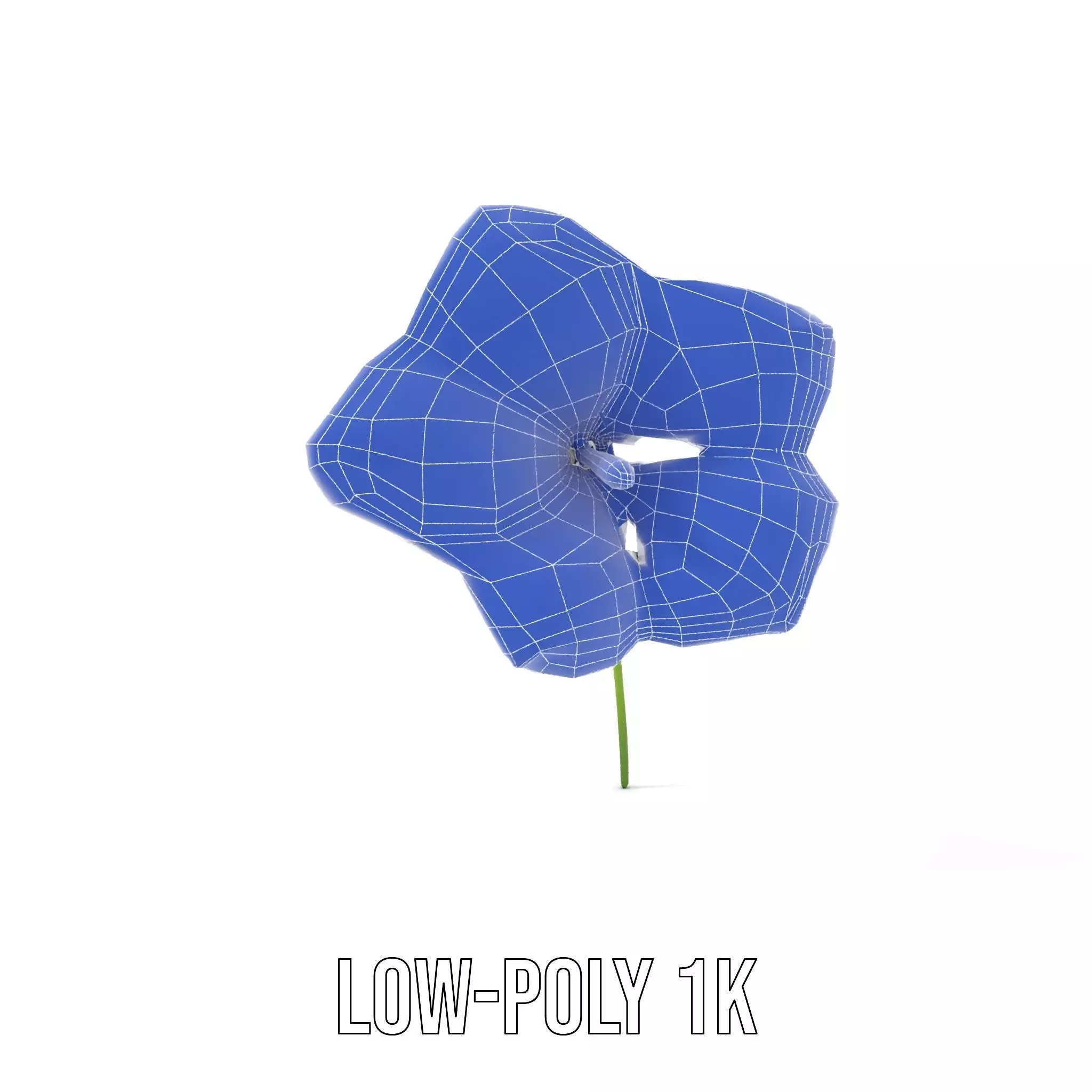 Blue Morning Glory model pack Low-poly 3D model_22