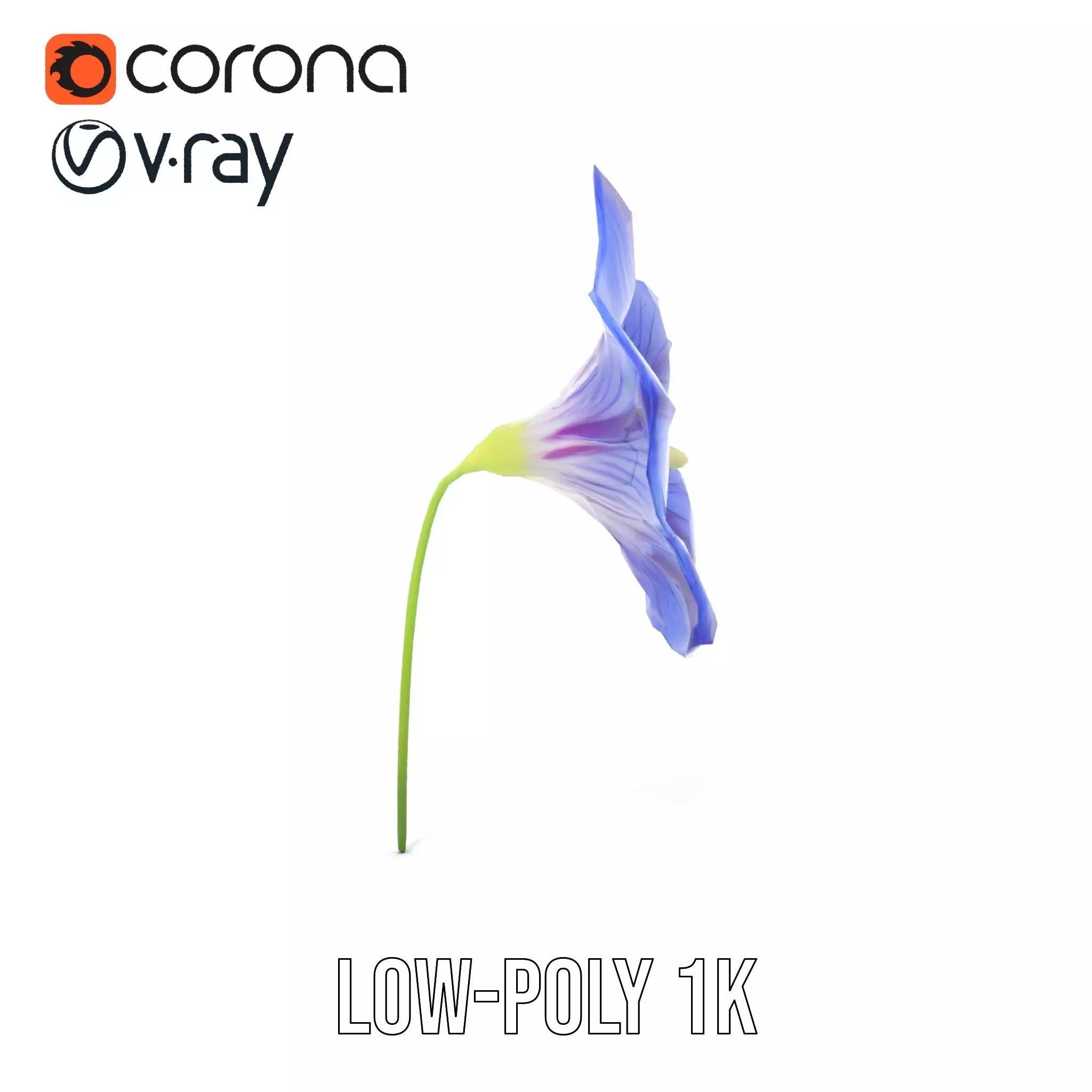Blue Morning Glory model pack Low-poly 3D model_19