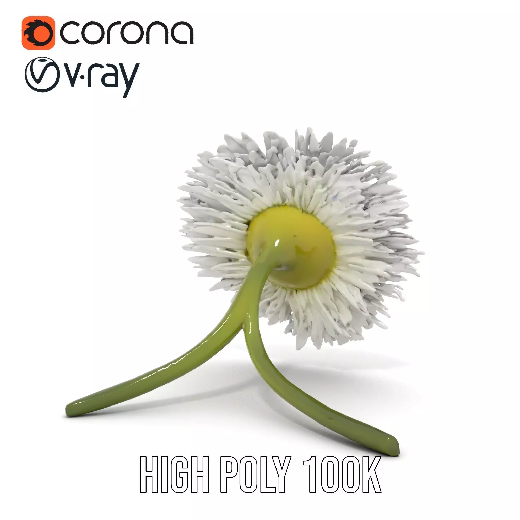 Elegant Daisy Flower model pack Low-poly 3D model_25