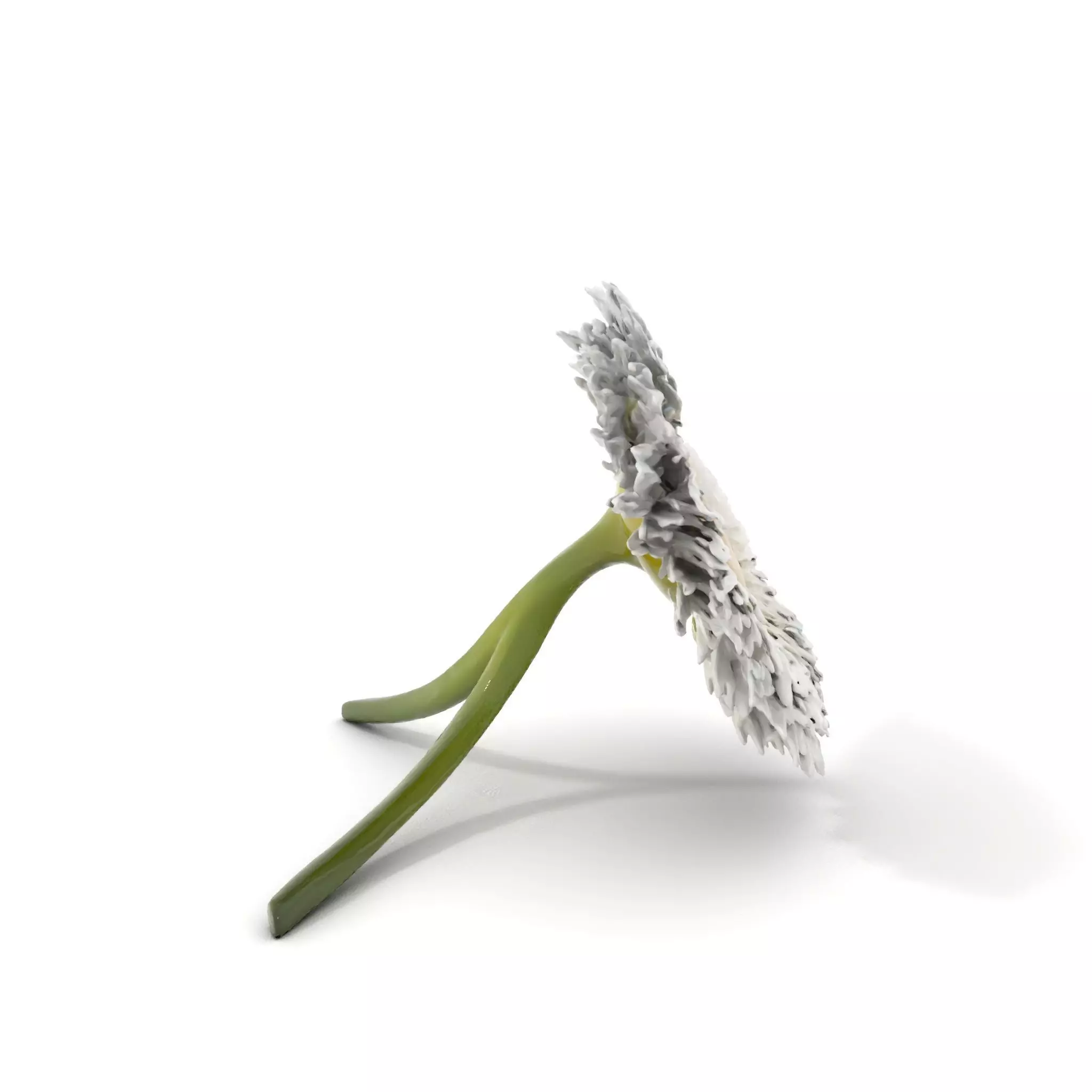 Elegant Daisy Flower model pack Low-poly 3D model_0