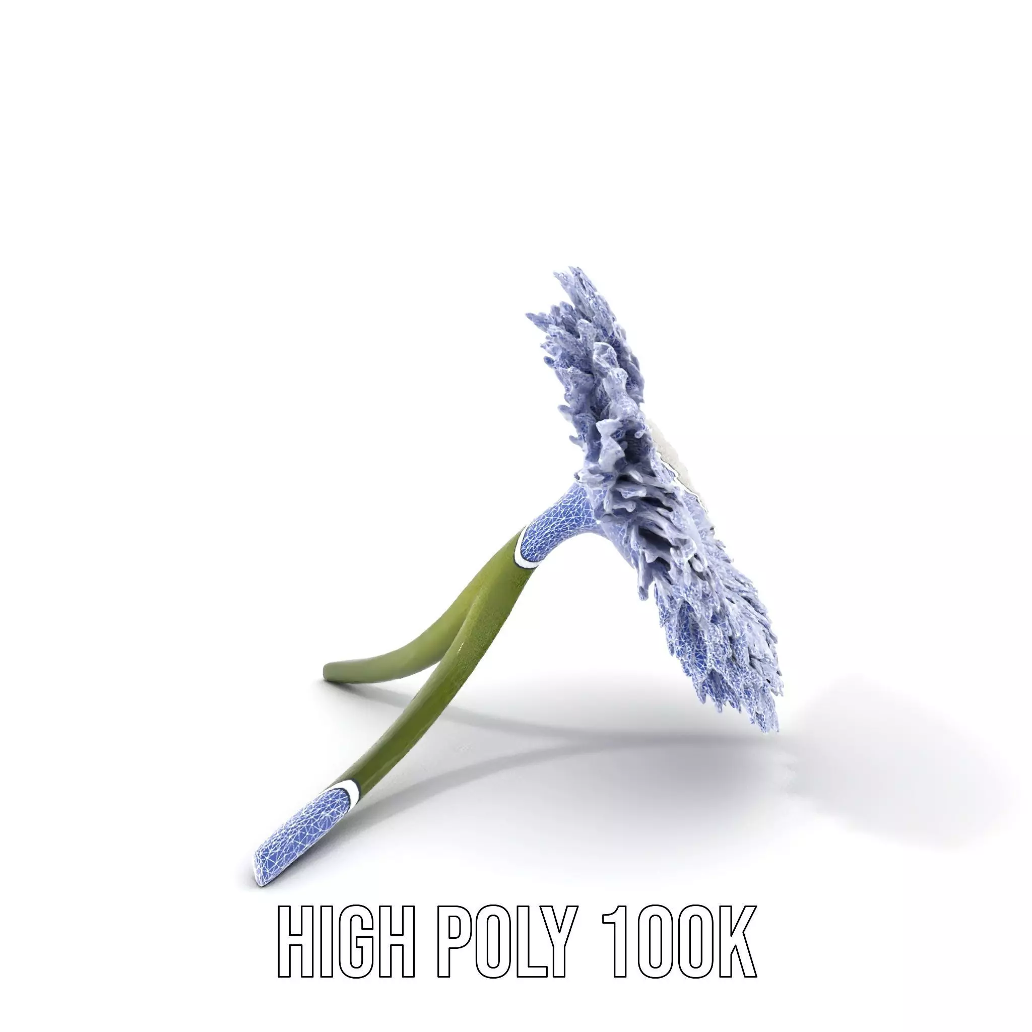 Elegant Daisy Flower model pack Low-poly 3D model_4