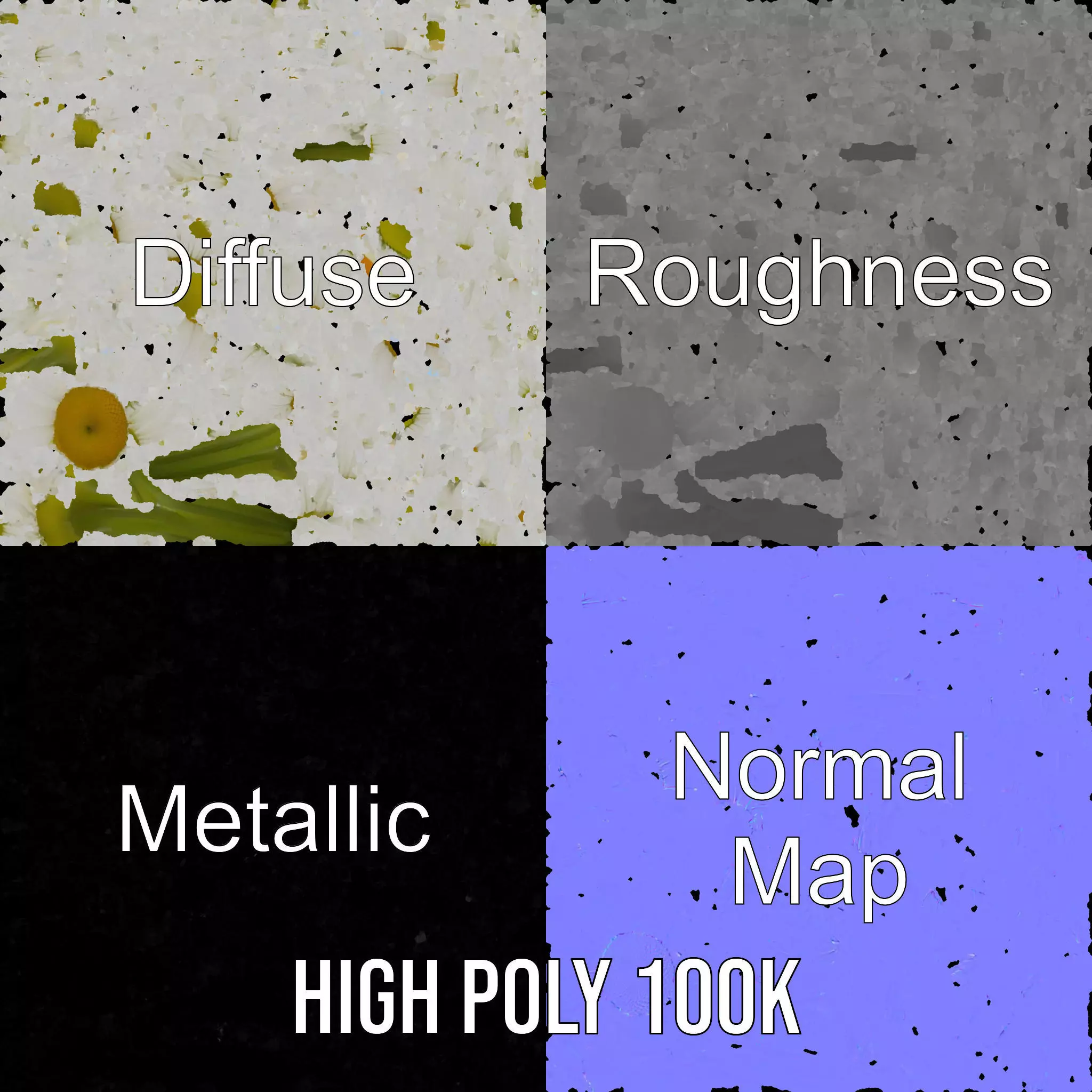 Elegant Daisy Flower model pack Low-poly 3D model_3