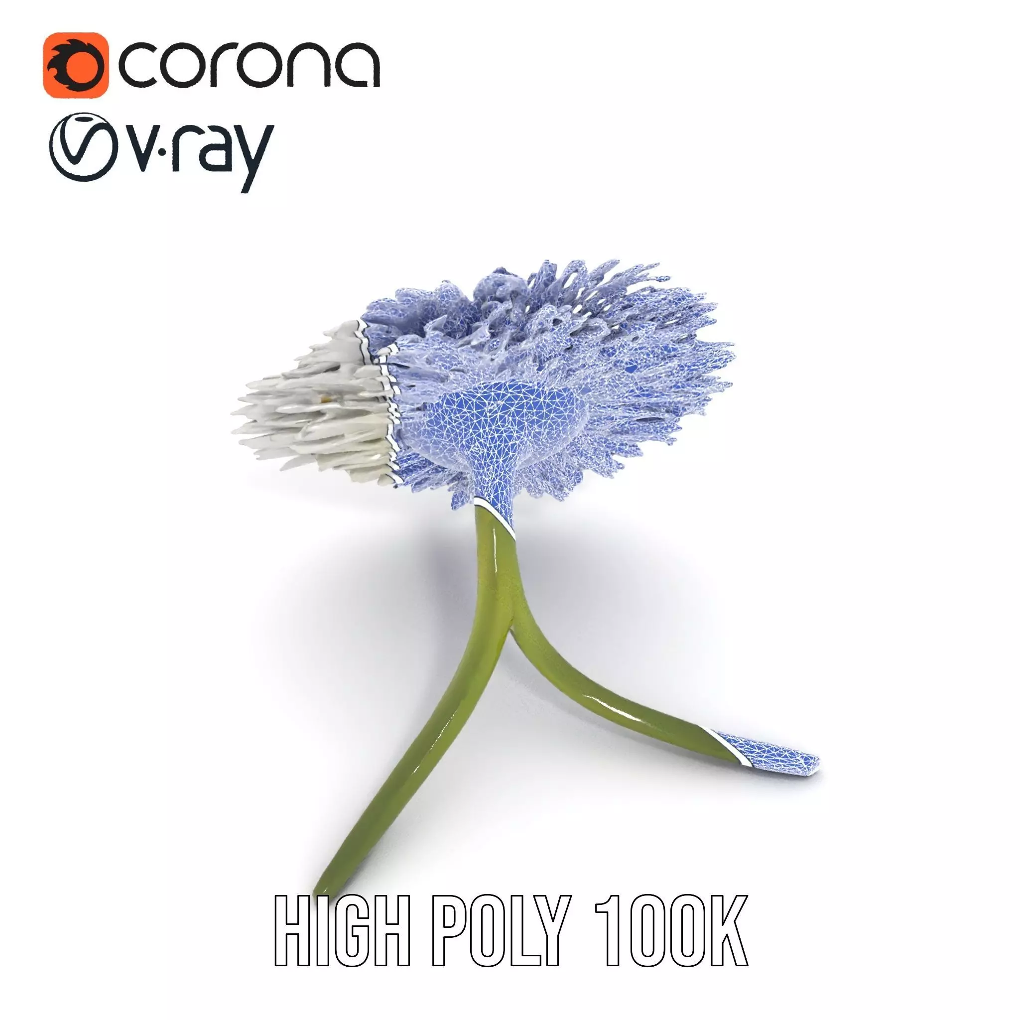 Elegant Daisy Flower model pack Low-poly 3D model_19