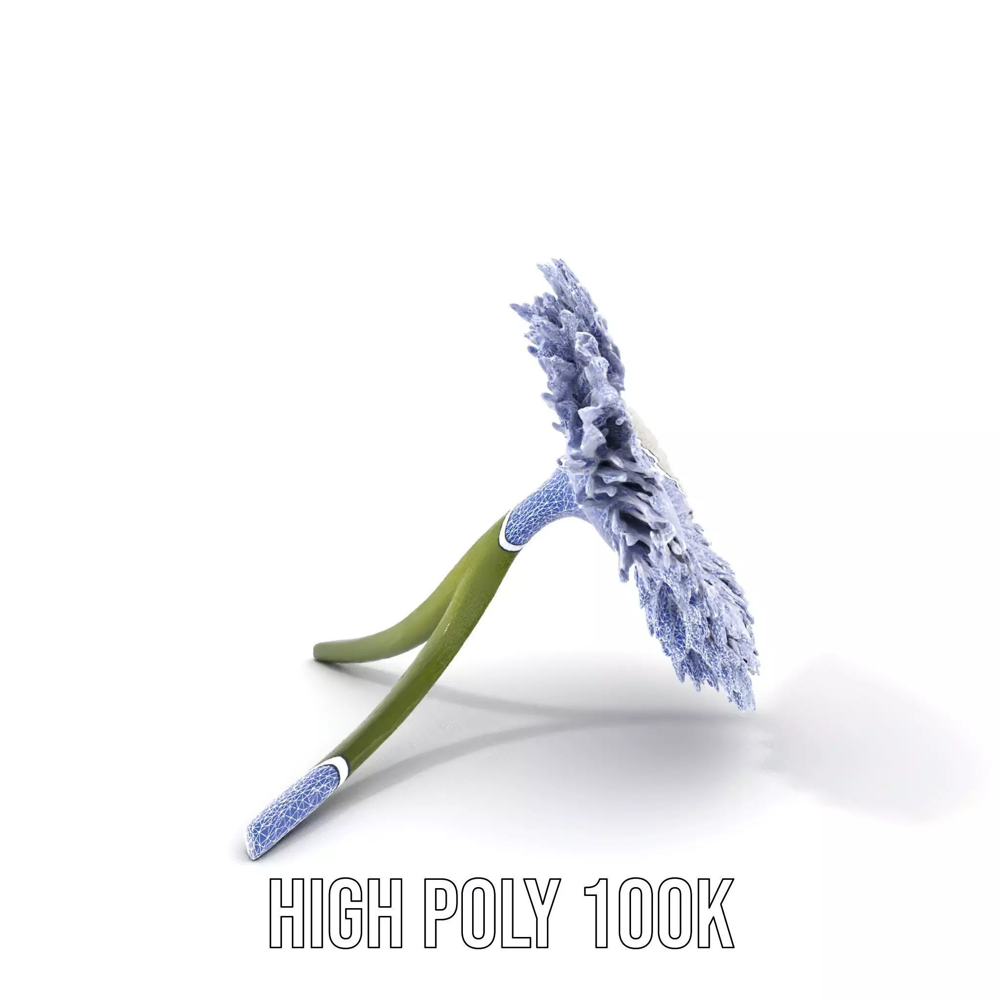 Elegant Daisy Flower model pack Low-poly 3D model_16